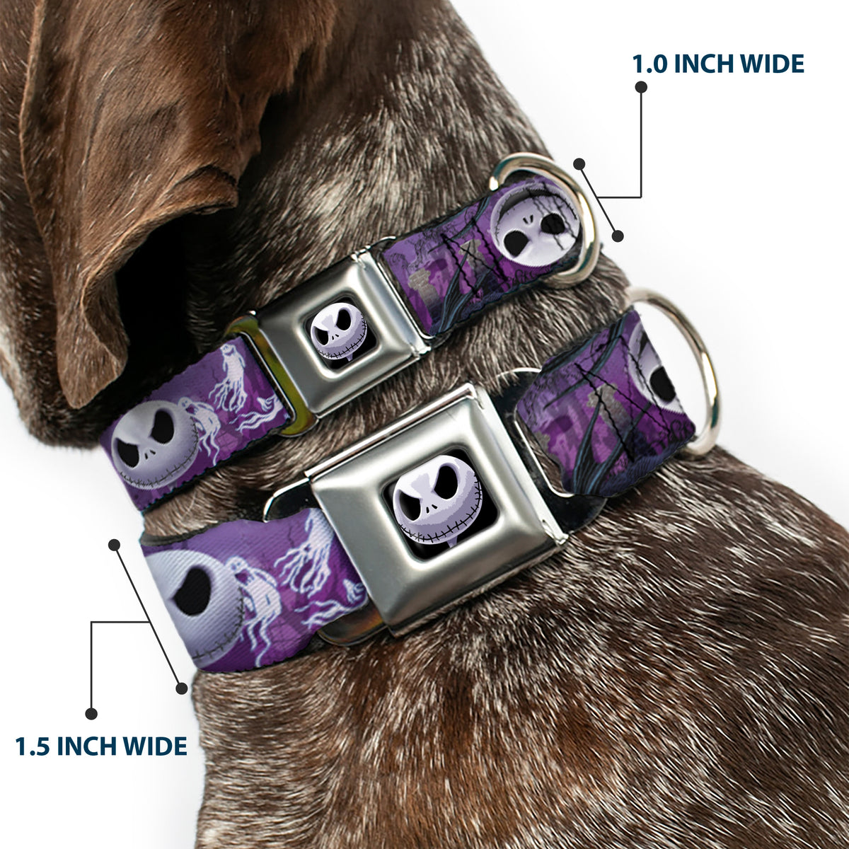 Jack Expression6 Full Color Seatbelt Buckle Collar - Jack Expressions/Ghosts in Cemetery Purples/Grays/White Dog Collars Seatbelt Buckle Disney