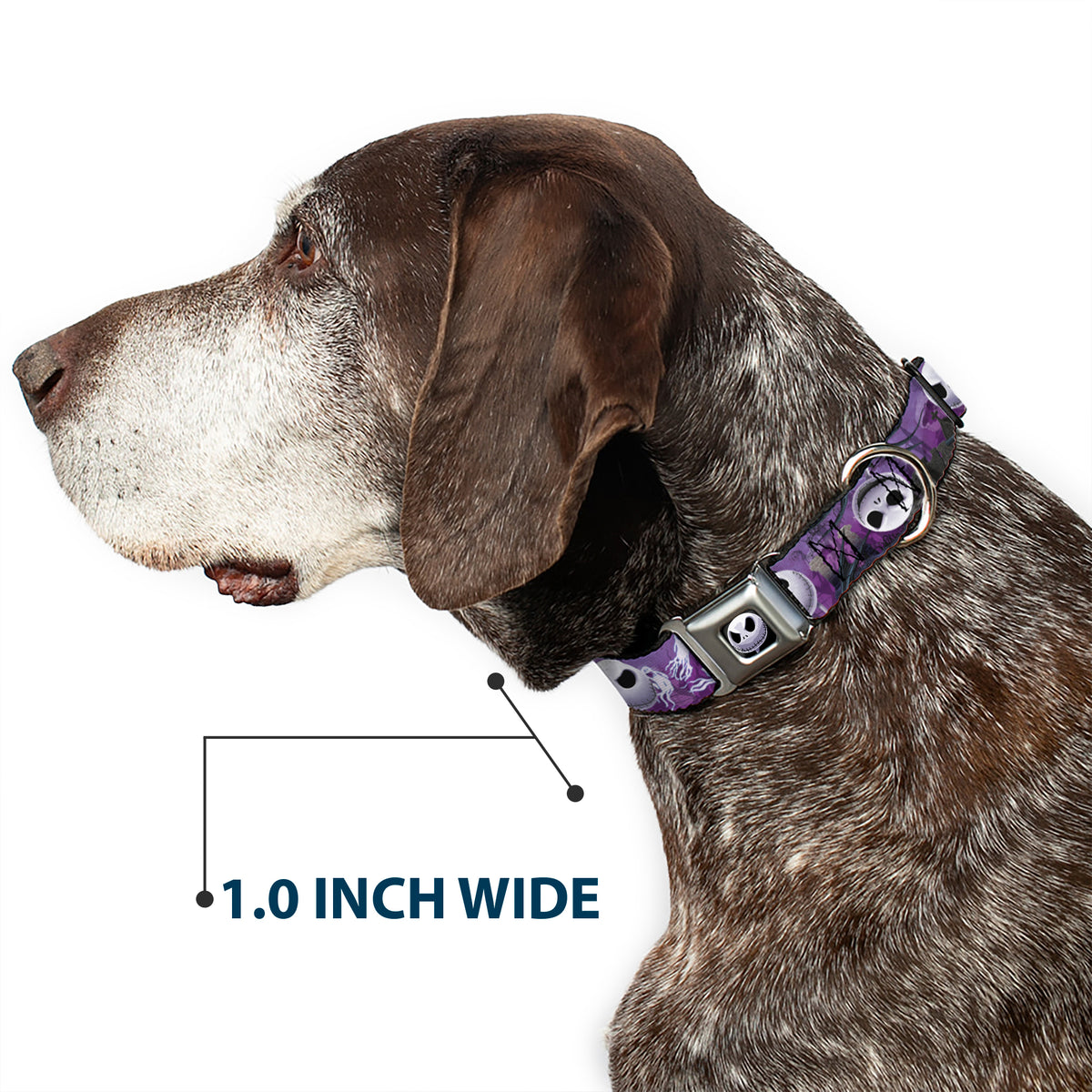 Jack Expression6 Full Color Seatbelt Buckle Collar - Jack Expressions/Ghosts in Cemetery Purples/Grays/White Dog Collars Seatbelt Buckle Disney