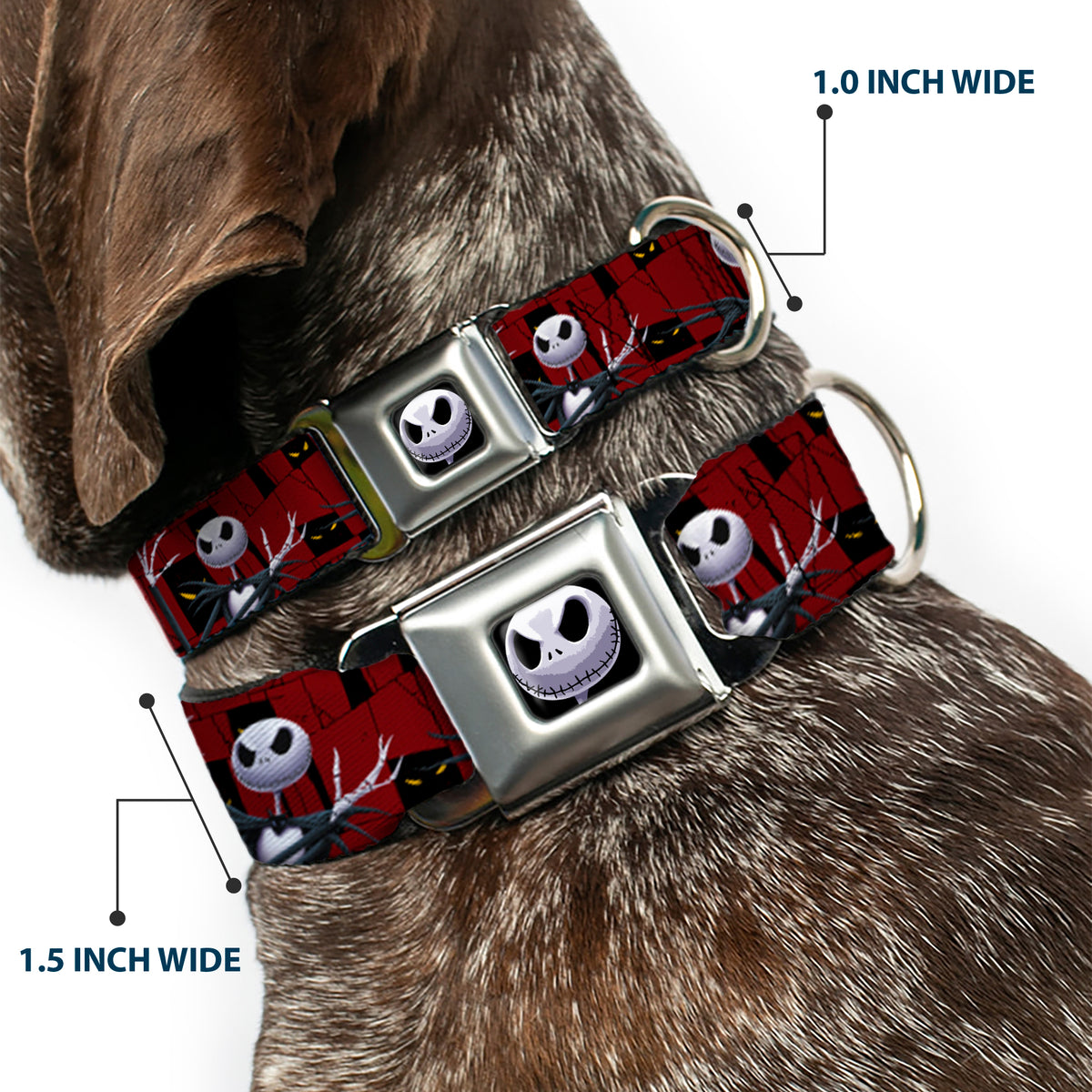Jack Expression6 Full Color Seatbelt Buckle Collar - Nightmare Before Christmas 3-Jack Poses/Peeping Eyes Burgundy/Black/Yellow Dog Collars Seatbelt Buckle Disney