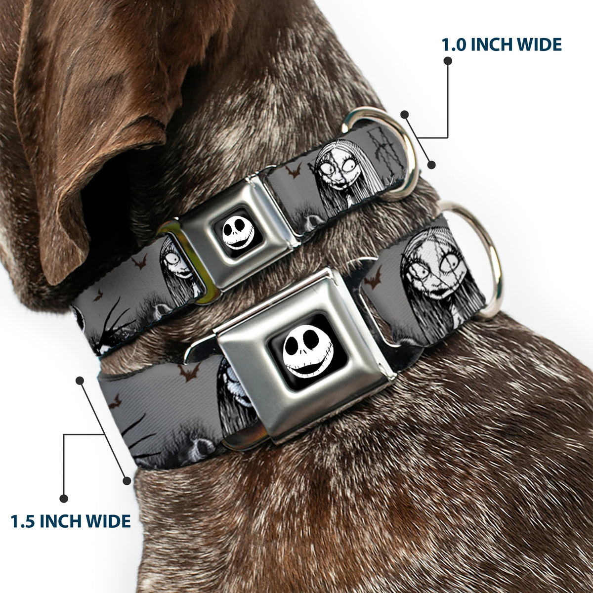 Jack Expression7 Full Color Seatbelt Buckle Collar - NBC Jack & Sally Cemetery Scene Gray/Black/White Dog Collars Seatbelt Buckle Disney