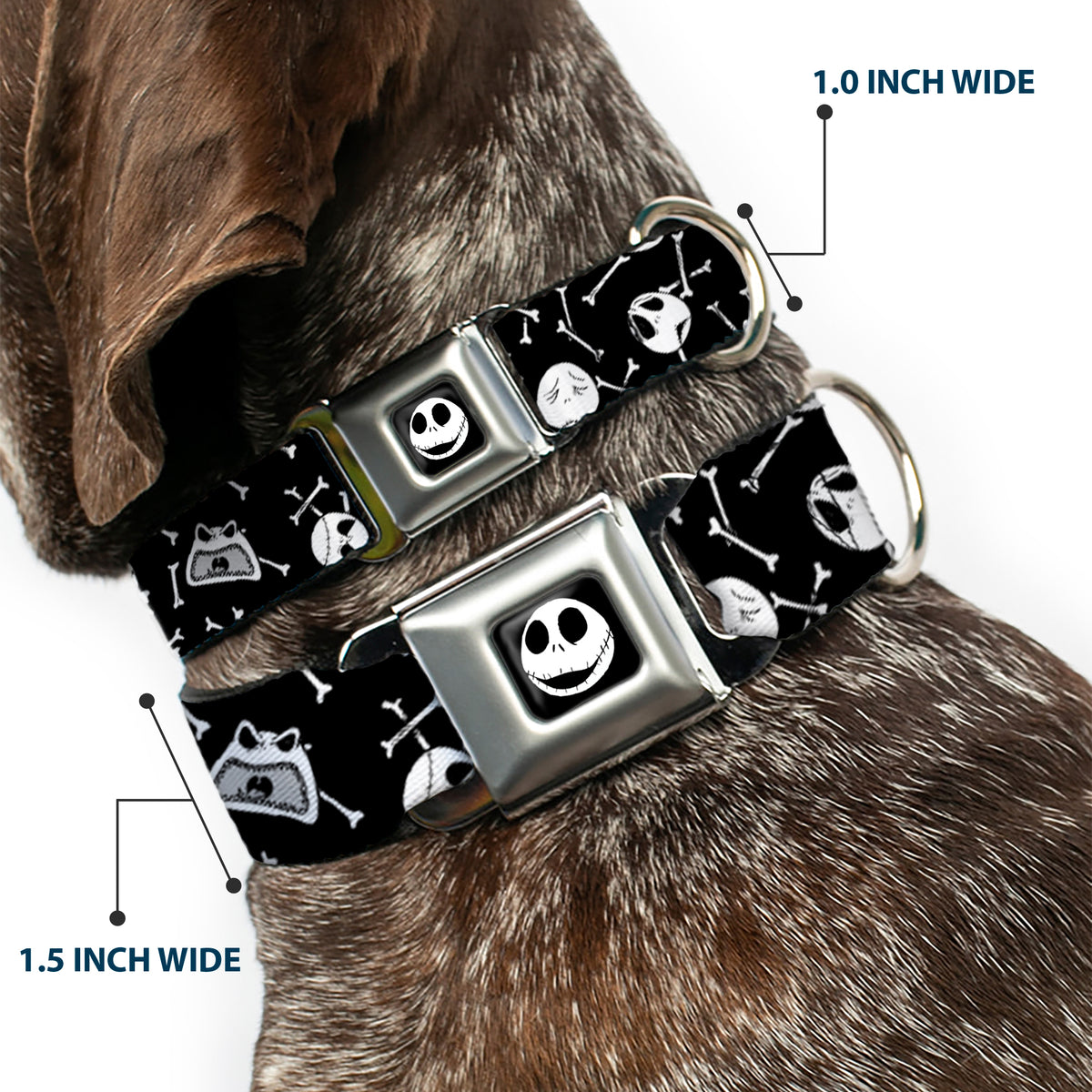 Jack Expressions/Bones Scattered Full Color Black/White Seatbelt Buckle Collar - Jack Expressions/Bones Scattered Black/White Dog Collars Seatbelt Buckle Disney