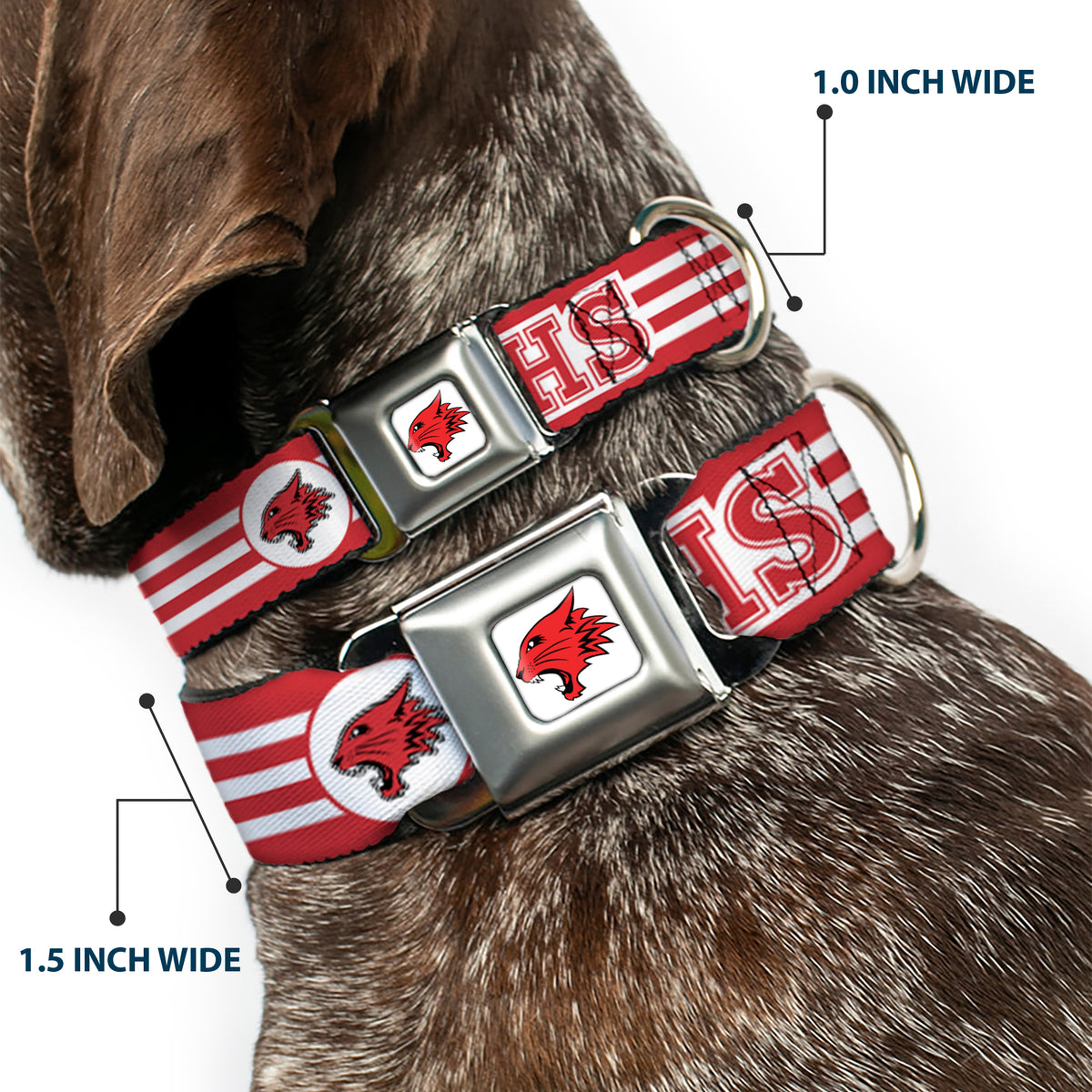 High School Musical East High School Wildcat Logo Full Color White/Red Seatbelt Buckle Collar - High School Musical East High School EHS Wildcats Logo/Stripe White/Red Dog Collars Seatbelt Buckle Disney