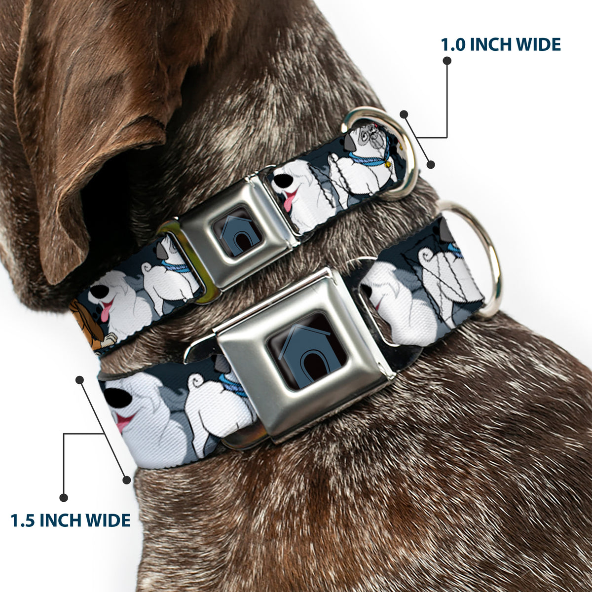 Dog House Full Color Black/Gray Seatbelt Buckle Collar - Disney Dogs 6-Dog Group Collage/Paws Gray/Black Dog Collars Seatbelt Buckle Disney