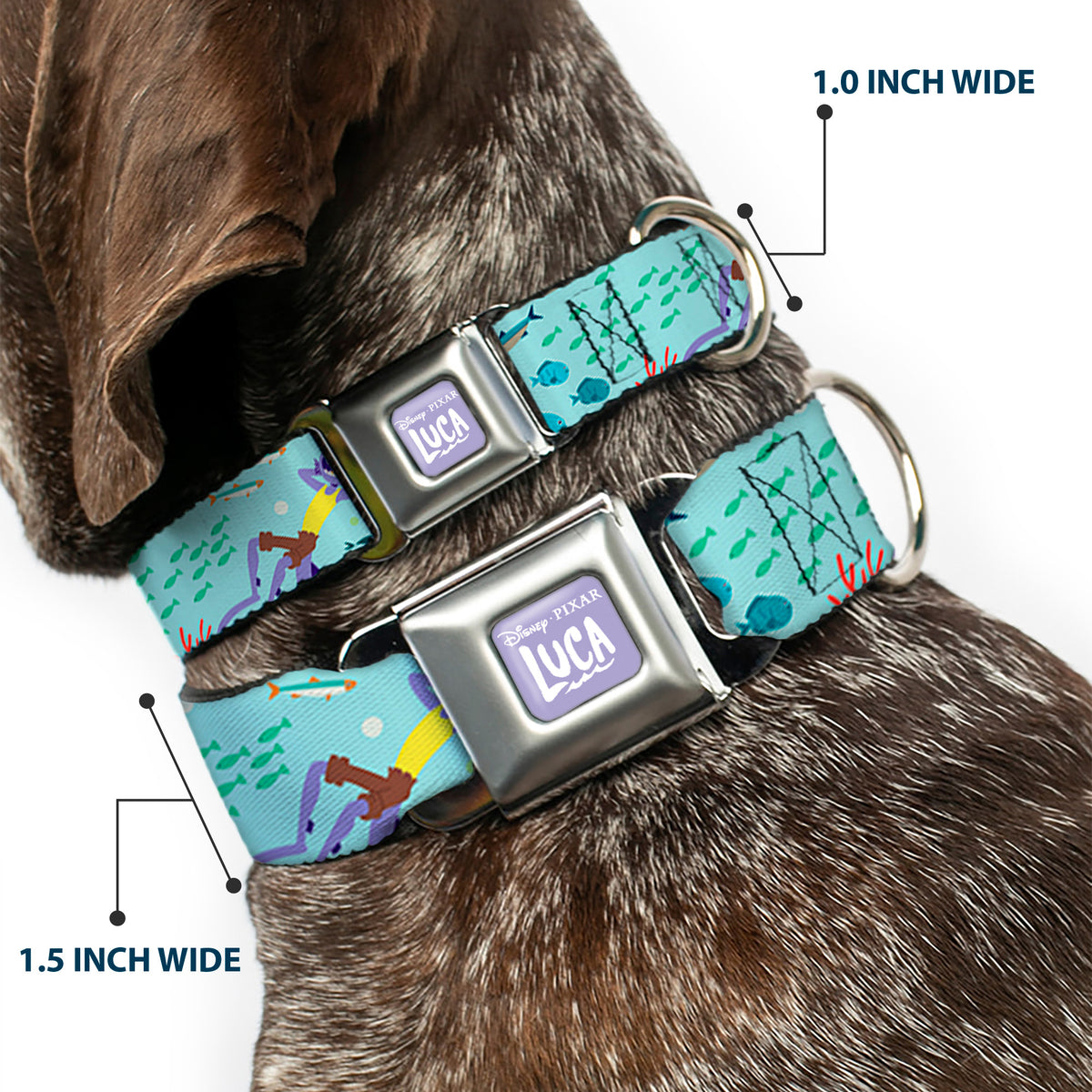 LUCA Logo Full Color Lavender/White Seatbelt Buckle Collar - Luca Isola del Mar Alberto Sea Monster School of Fish Collage Dog Collars Seatbelt Buckle Disney