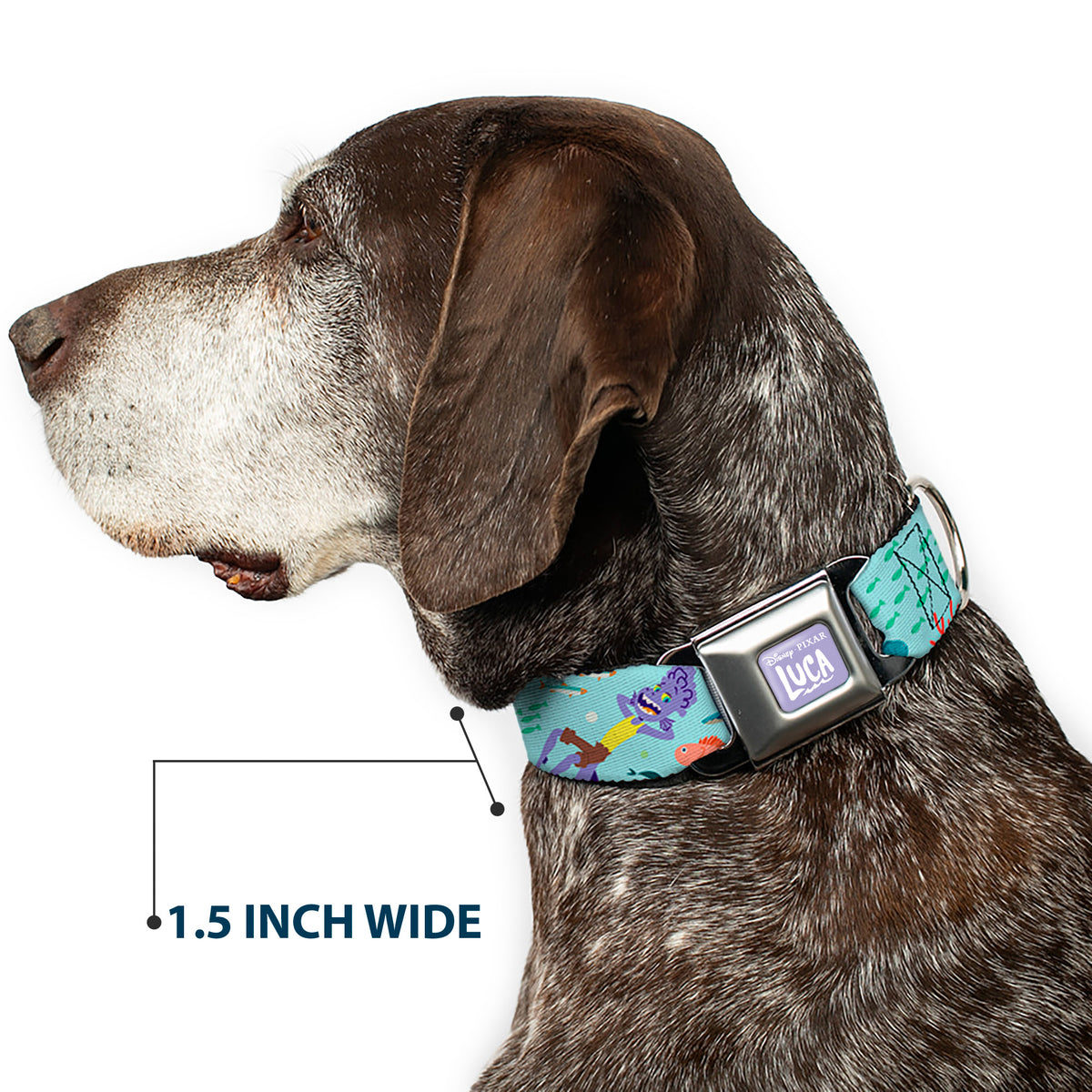 LUCA Logo Full Color Lavender/White Seatbelt Buckle Collar - Luca Isola del Mar Alberto Sea Monster School of Fish Collage Dog Collars Seatbelt Buckle Disney