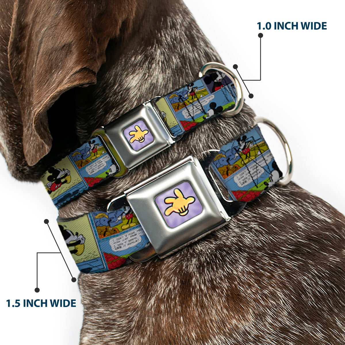 Mickey's Glove Purple Rays Full Color Seatbelt Buckle Collar - Mickey & Minnie Comic Strip Dog Collars Seatbelt Buckle Disney