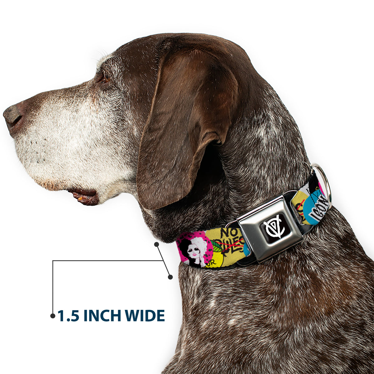 Cruella de Vil CDV Icon Black/White Seatbelt Buckle Collar - Cruella de Vil Cruell World and Round Badge Icons Collage Dog Collars Seatbelt Buckle Disney