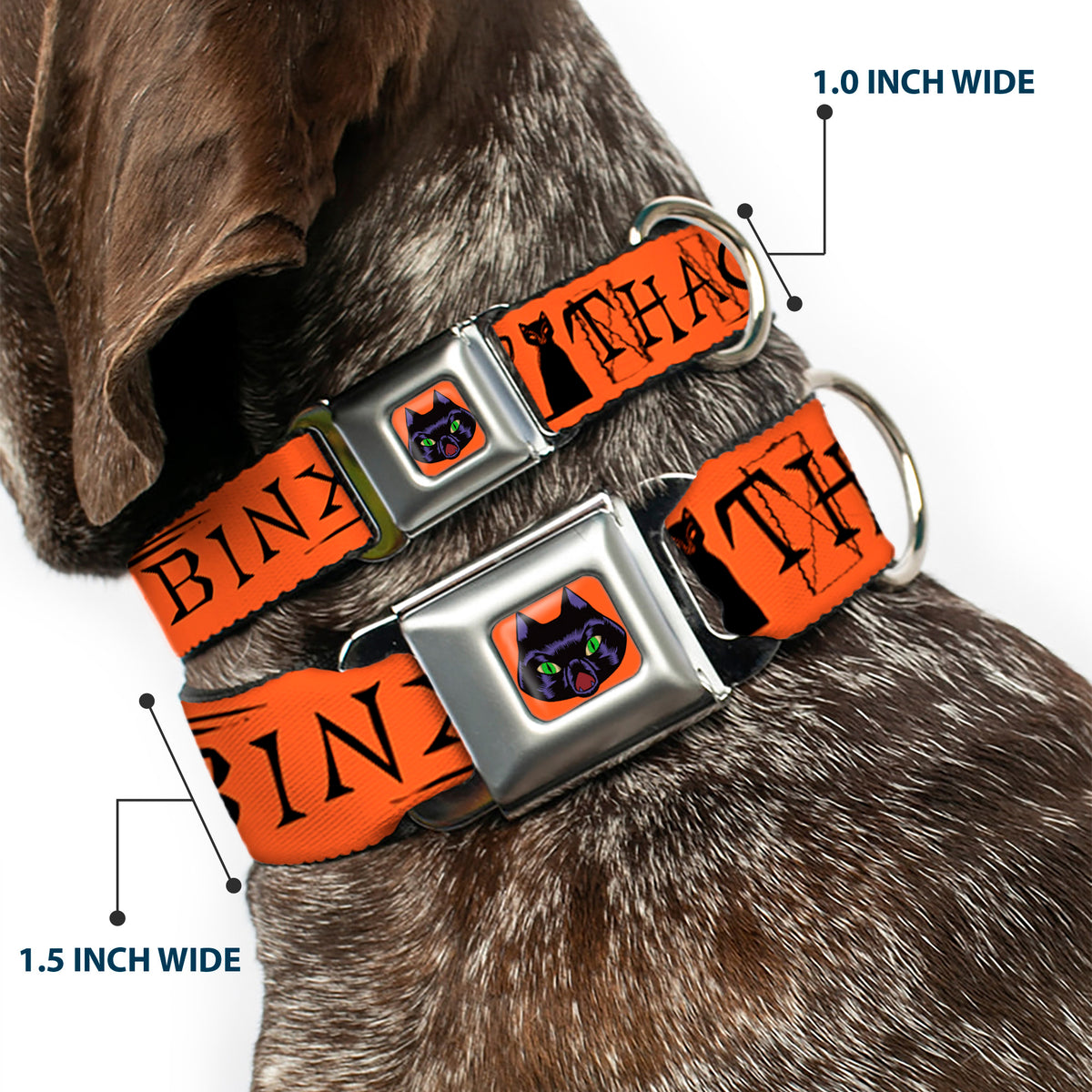 Hocus Pocus Thackery Binx Cat Face Full Color Orange Seatbelt Buckle Collar - Hocus Pocus THACKERY BINX Cat Silhouette Orange/Black Dog Collars Seatbelt Buckle Disney
