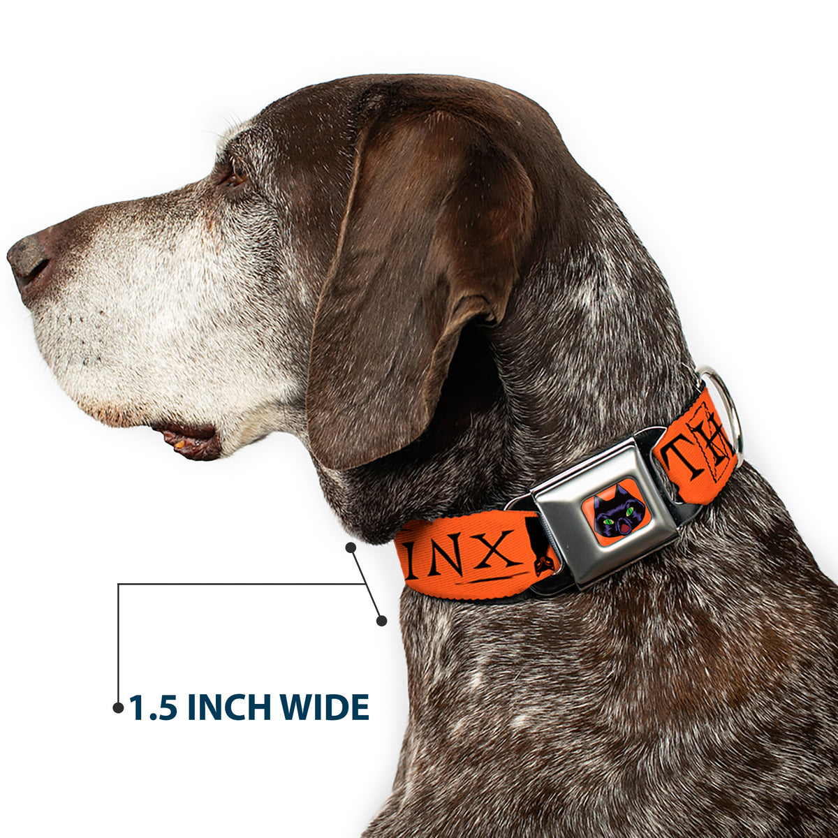 Hocus Pocus Thackery Binx Cat Face Full Color Orange Seatbelt Buckle Collar - Hocus Pocus THACKERY BINX Cat Silhouette Orange/Black Dog Collars Seatbelt Buckle Disney