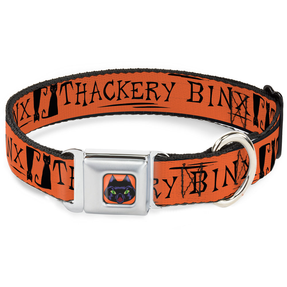 Hocus Pocus Thackery Binx Cat Face Full Color Orange Seatbelt Buckle Collar - Hocus Pocus THACKERY BINX Cat Silhouette Orange/Black Dog Collars Seatbelt Buckle Disney