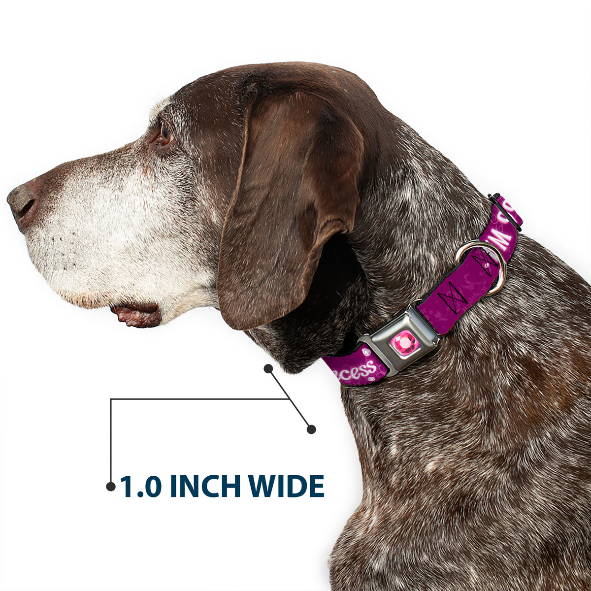 Princess Gem Full Color Fuchsia Seatbelt Buckle Collar - I'M 99.9% SURE I'M A DISNEY PRINCESS Pinks/White Dog Collars Seatbelt Buckle Disney