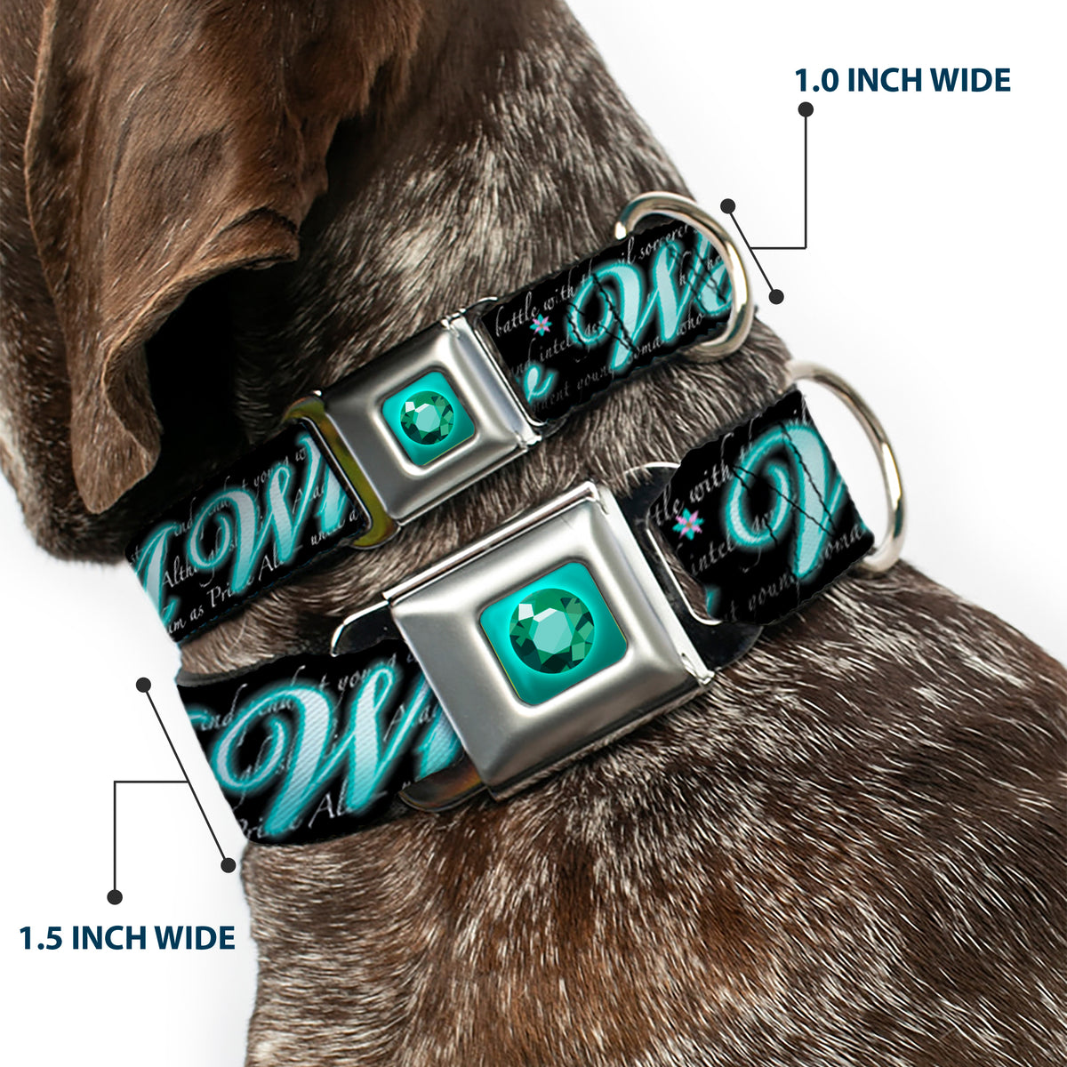 Princess Gem Full Color Turquoise Seatbelt Buckle Collar - Aladdin A WHOLE NEW WORLD/Story Script Dog Collars Seatbelt Buckle Disney