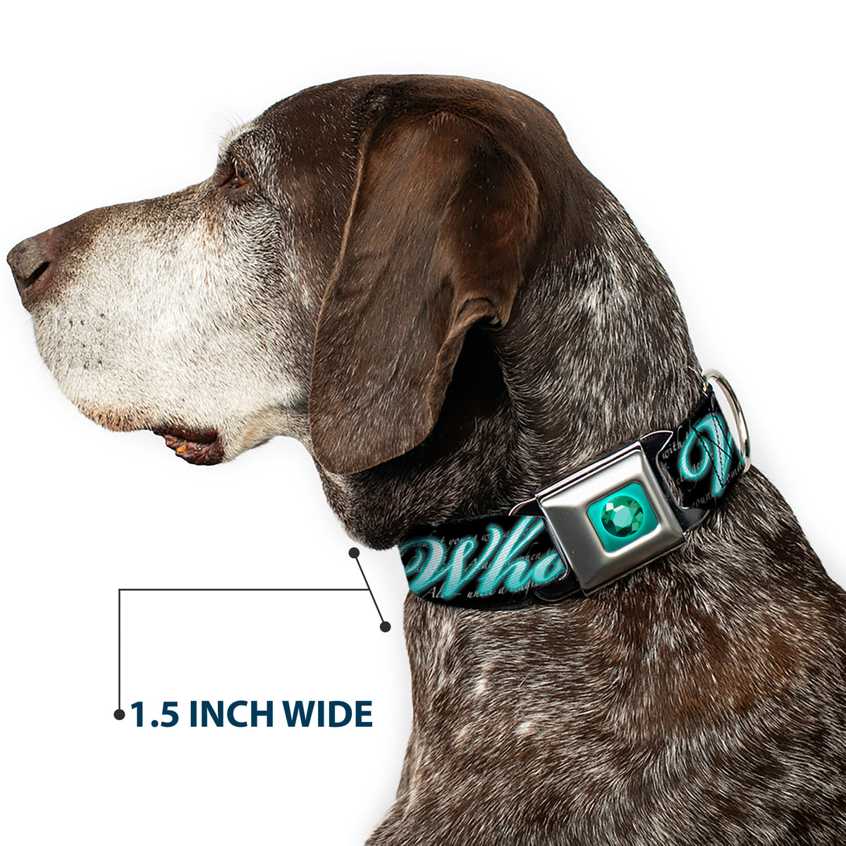 Princess Gem Full Color Turquoise Seatbelt Buckle Collar - Aladdin A WHOLE NEW WORLD/Story Script Dog Collars Seatbelt Buckle Disney