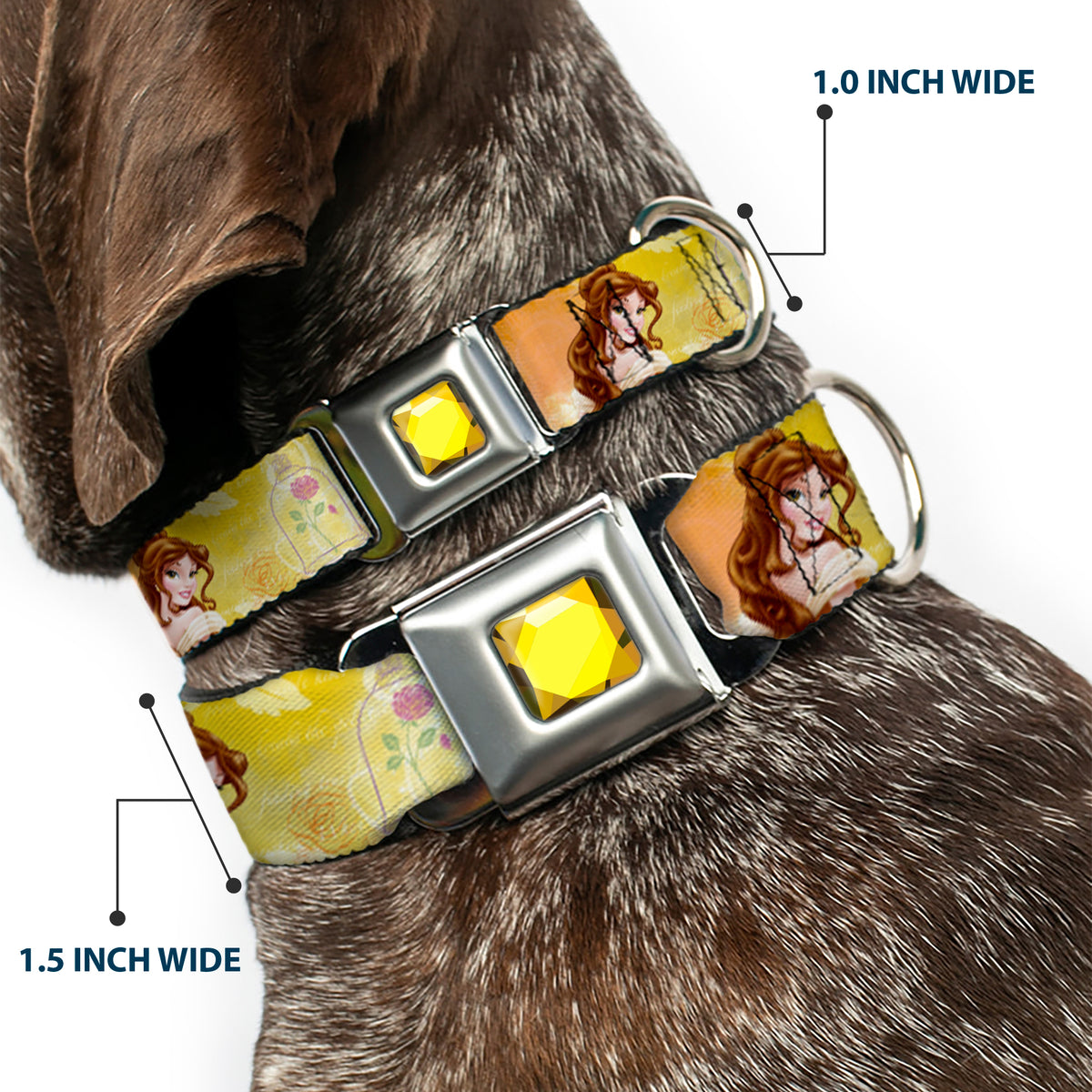 Princess Gem CLOSE-UP Full Color Yellow Seatbelt Buckle Collar - Belle Poses/Enchanted Rose/Story Script Yellow/Pinks Dog Collars Seatbelt Buckle Disney