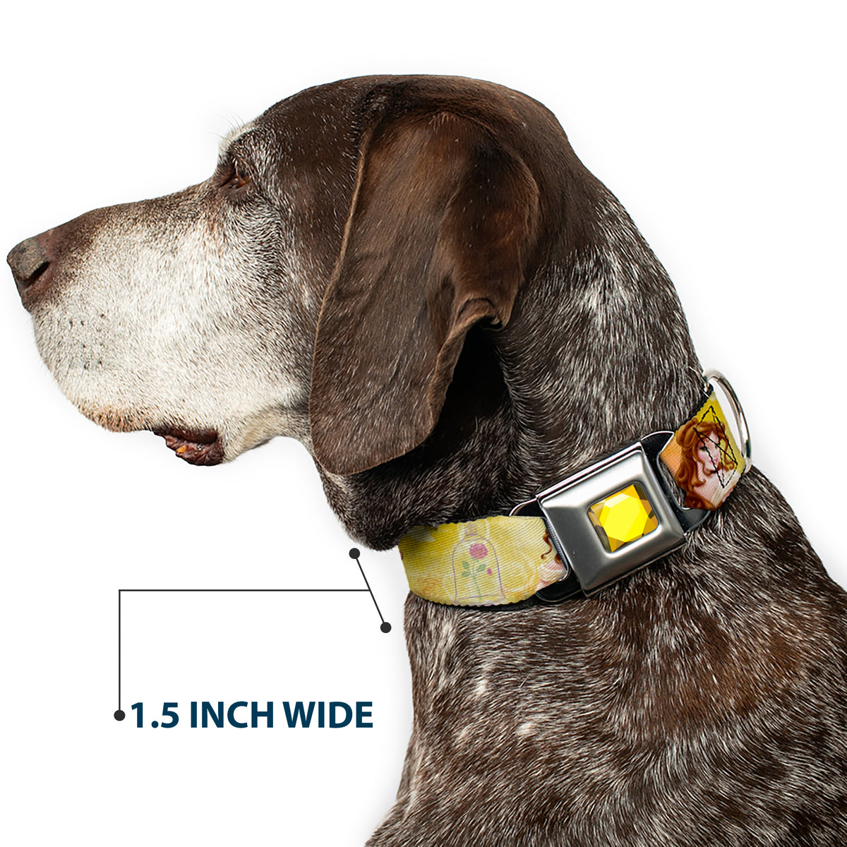 Princess Gem CLOSE-UP Full Color Yellow Seatbelt Buckle Collar - Belle Poses/Enchanted Rose/Story Script Yellow/Pinks Dog Collars Seatbelt Buckle Disney