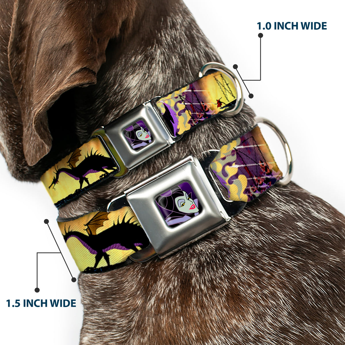 Maleficent Face Full Color Purple Fade Seatbelt Buckle Collar - Maleficent Poses Dog Collars Seatbelt Buckle Disney