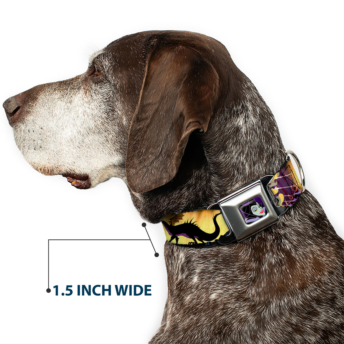 Maleficent Face Full Color Purple Fade Seatbelt Buckle Collar - Maleficent Poses Dog Collars Seatbelt Buckle Disney