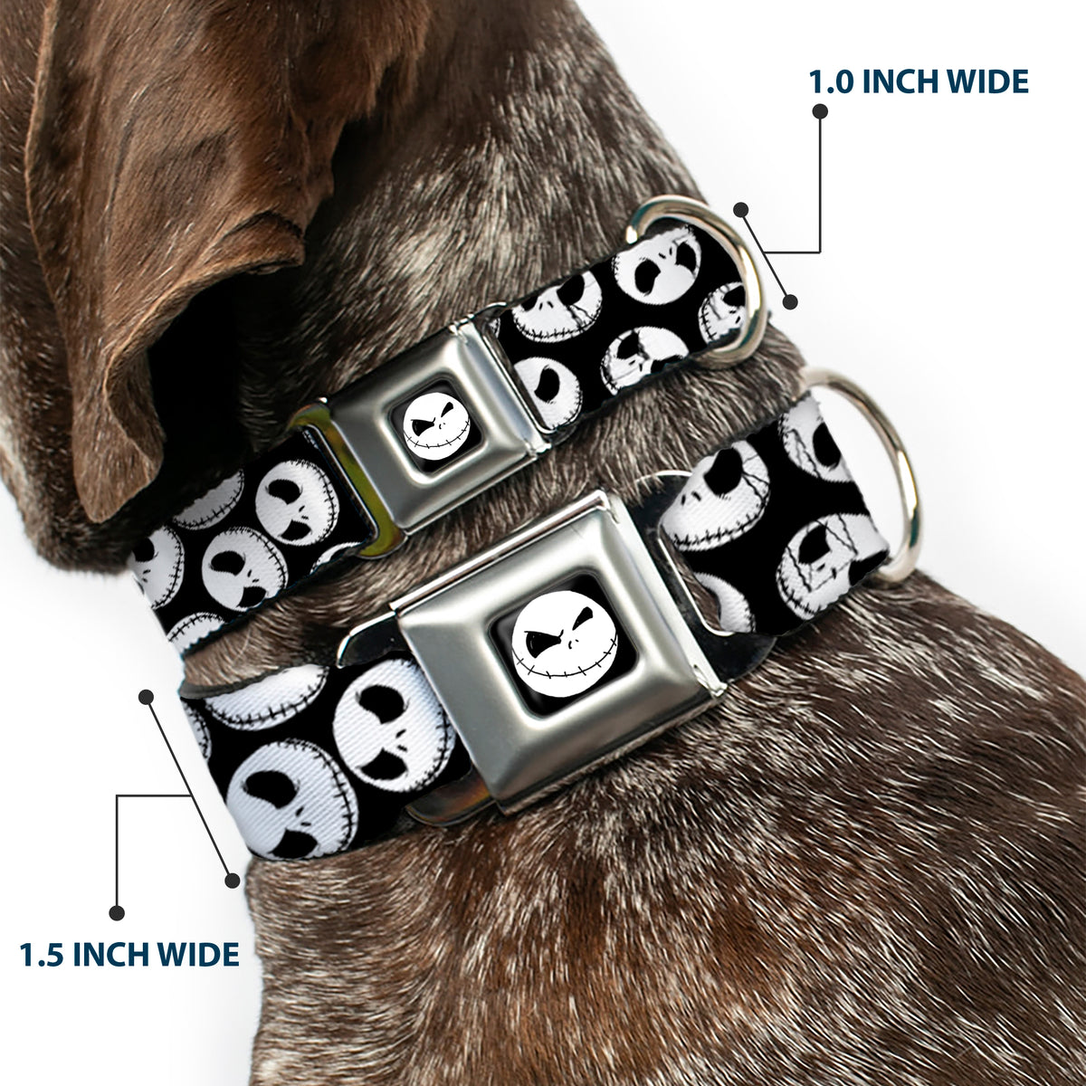 Jack Expression9 Full Color Seatbelt Buckle Collar - NBC Jack Expressions Scattered Black/White Dog Collars Seatbelt Buckle Disney