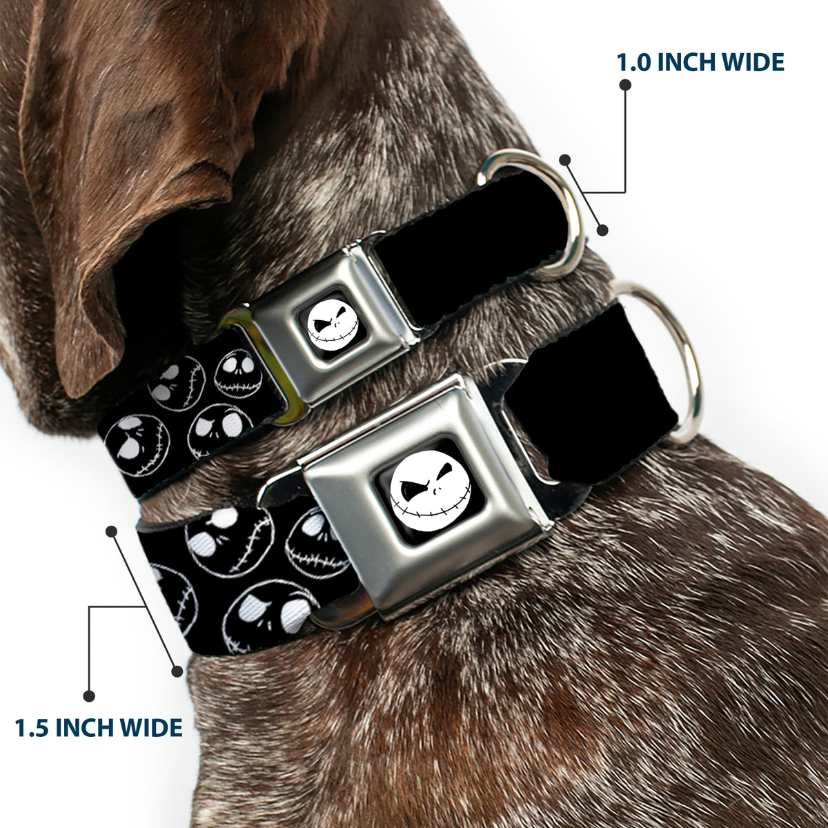 Jack Expression8 Full Color Seatbelt Buckle Collar - Jack Outline Expressions Scattered Black/White Dog Collars Seatbelt Buckle Disney
