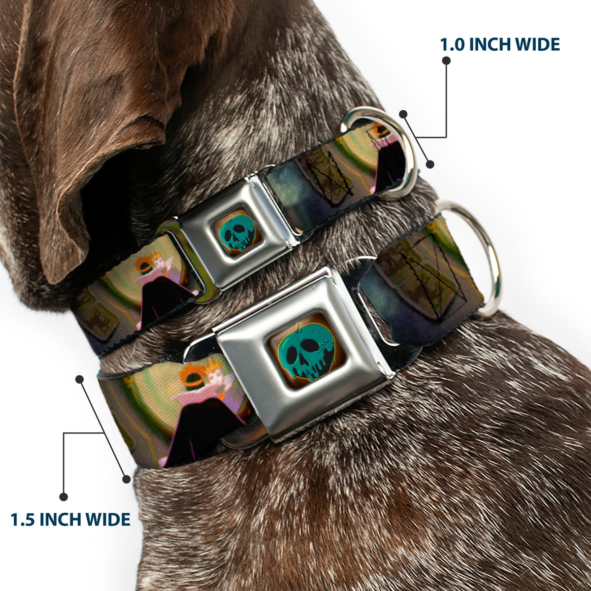 Snow White Poisoned Apple Full Color Seatbelt Buckle Collar - Snow White Evil Queen Poses Dog Collars Seatbelt Buckle Disney