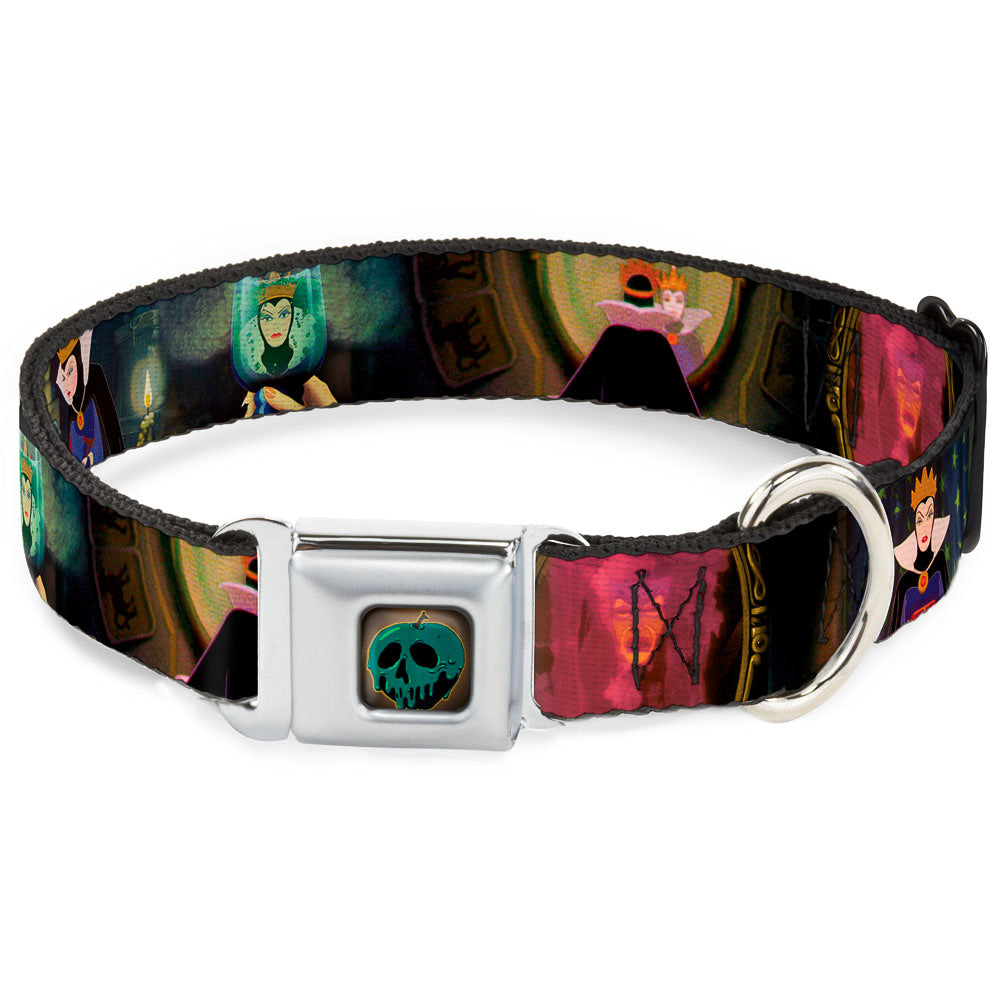 Snow White Poisoned Apple Full Color Seatbelt Buckle Collar - Snow White Evil Queen Poses Dog Collars Seatbelt Buckle Disney