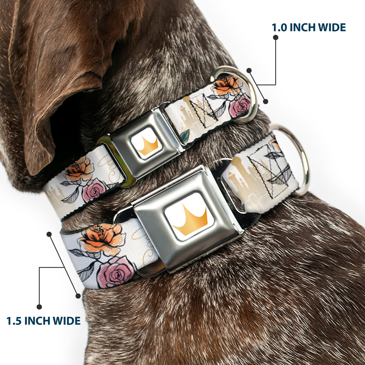 Disney Princess Crown Full Color Golds Seatbelt Buckle Collar - Beauty and the Beast Belle Castle Pose with Script and Flowers White/Yellows Dog Collars Seatbelt Buckle Disney