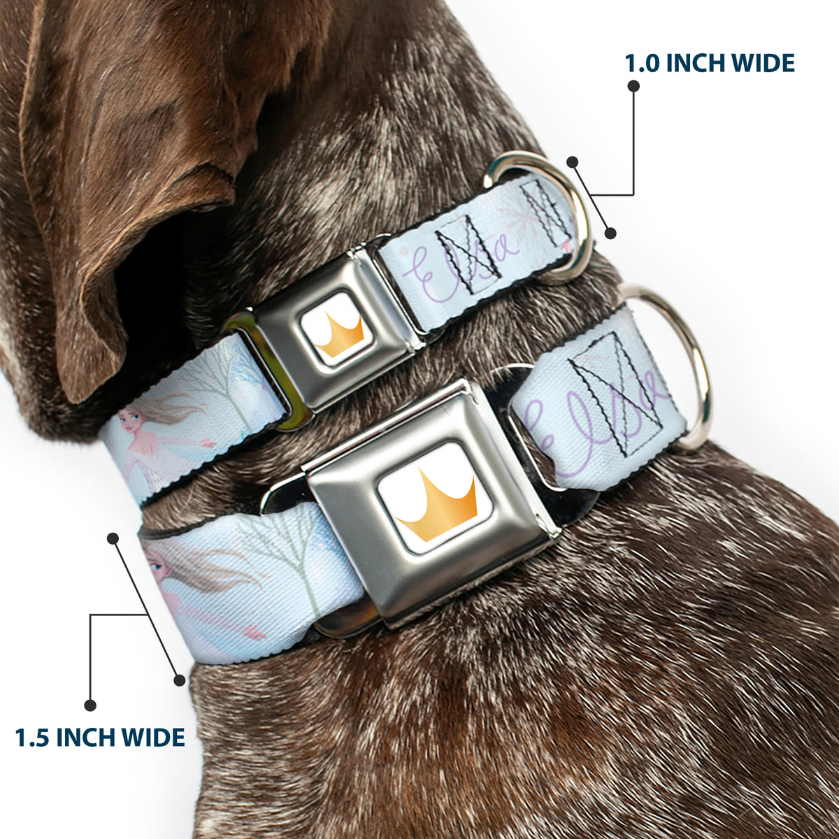 Disney Princess Crown Full Color Golds Seatbelt Buckle Collar - Frozen Elsa Snowflake Pose with Trees and Script Blues/Purples Dog Collars Seatbelt Buckle Disney