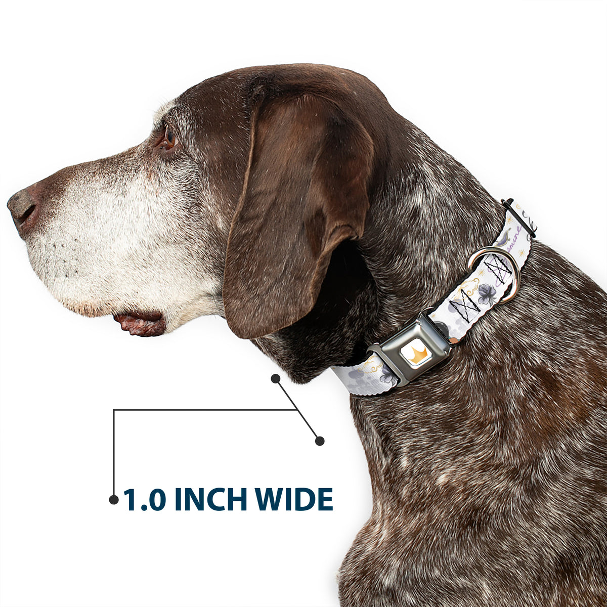 Disney Princess Crown Full Color Golds Seatbelt Buckle Collar - Aladdin Jasmine Palace Pose with Script and Flowers White/Purples Dog Collars Seatbelt Buckle Disney
