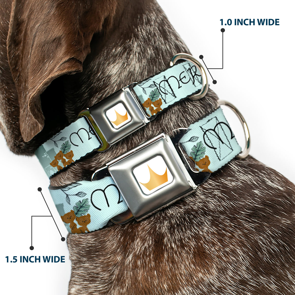 Disney Princess Crown Full Color Golds Seatbelt Buckle Collar - Brave Merida Castle and Three Bear Brothers Pose with Script Greens Dog Collars Seatbelt Buckle Disney