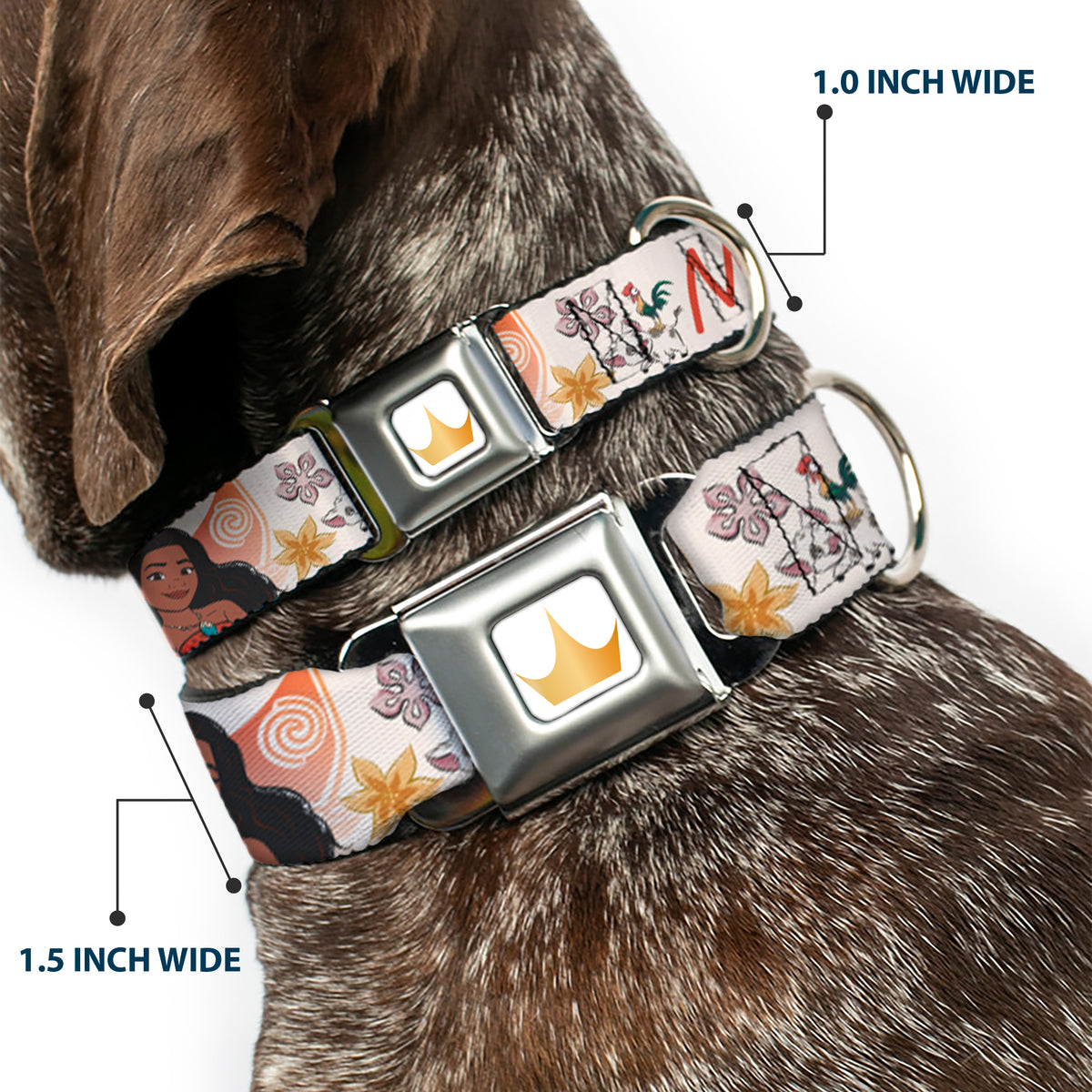 Disney Princess Crown Full Color Golds Seatbelt Buckle Collar - Moana with Pua and Hei Hei Sail Pose with Script and Flowers Beige/Orange Dog Collars Seatbelt Buckle Disney