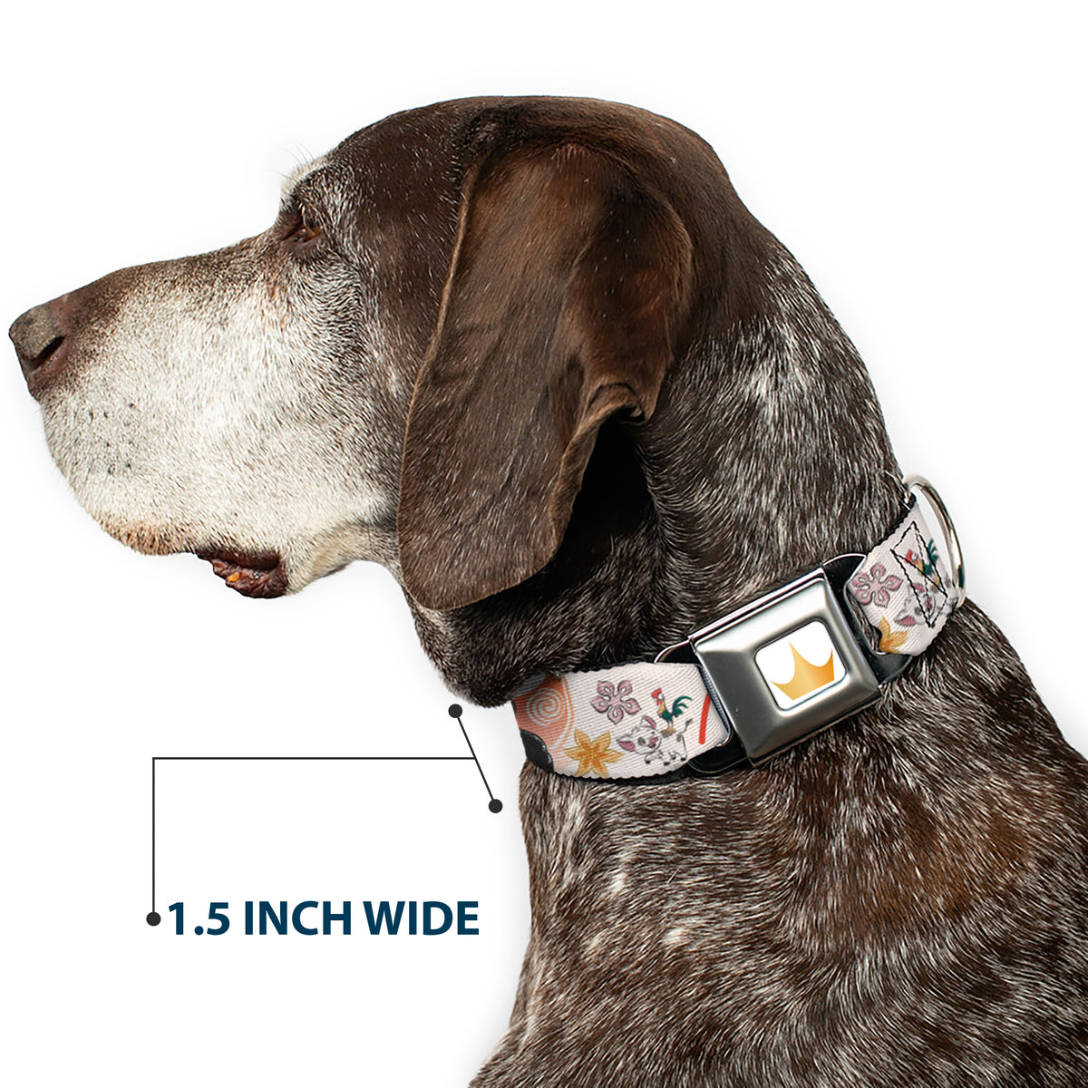Disney Princess Crown Full Color Golds Seatbelt Buckle Collar - Moana with Pua and Hei Hei Sail Pose with Script and Flowers Beige/Orange Dog Collars Seatbelt Buckle Disney