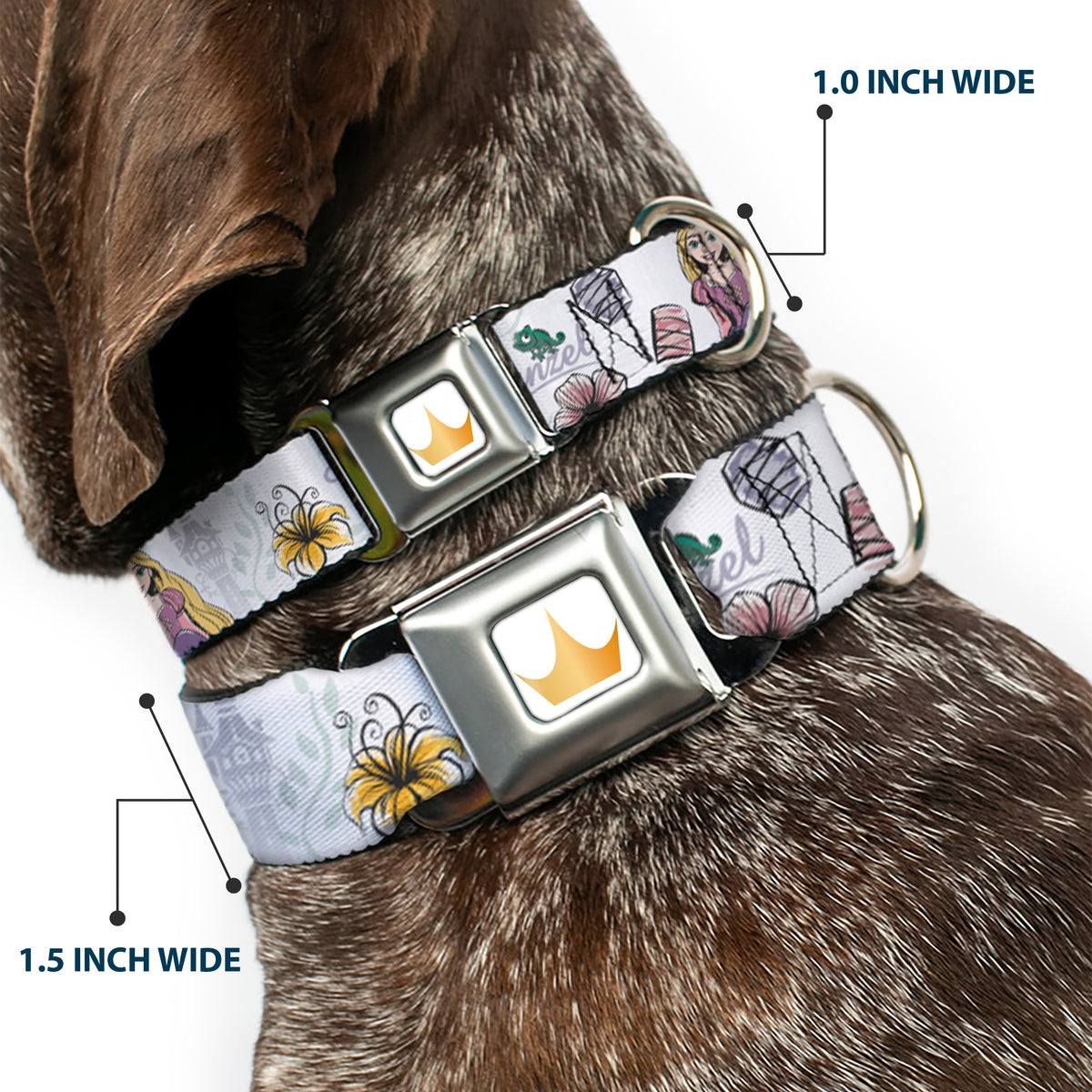 Disney Princess Crown Full Color Golds Seatbelt Buckle Collar - Rapunzel Castle and Pascual Pose with Script and Flowers White/Purples Dog Collars Seatbelt Buckle Disney