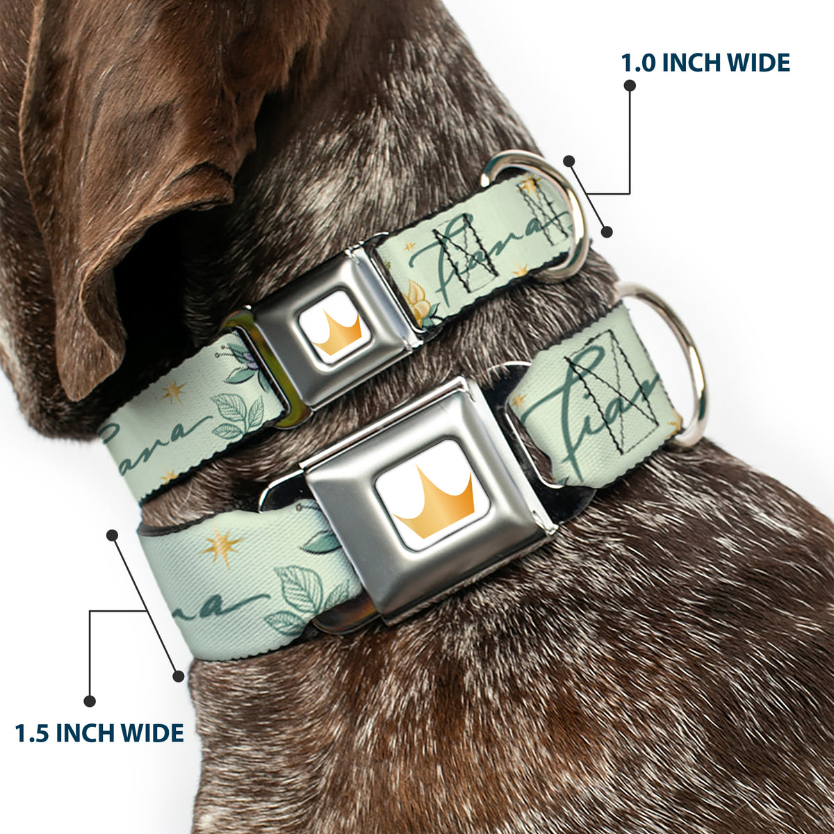 Disney Princess Crown Full Color Golds Seatbelt Buckle Collar - The Princess and the Frog Tiana Palace Pose with Script and Flowers Greens Dog Collars Seatbelt Buckle Disney