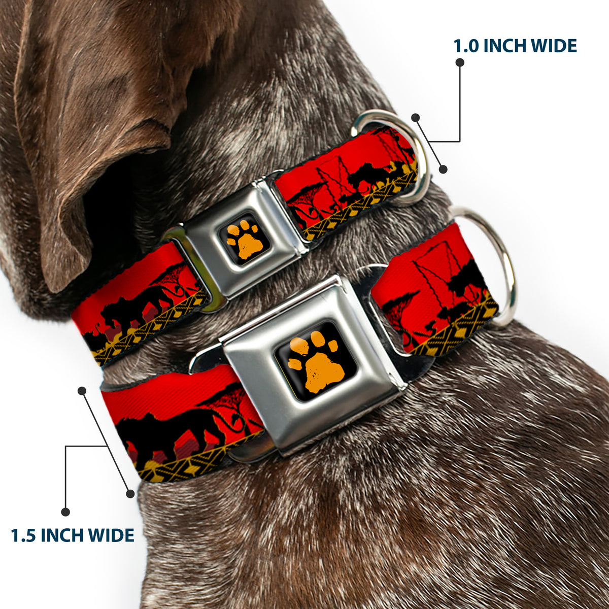 Lion King Paw Full Color Black Gold Seatbelt Buckle Collar - Mufasa & Simba JUST CAN'T WAIT TO BE KING/Family Silhouette Dog Collars Seatbelt Buckle Disney