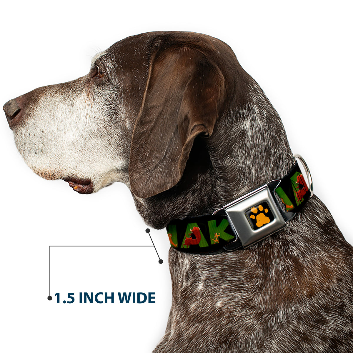 Lion King Paw Full Color Black Gold Seatbelt Buckle Collar - HAKUNA MATATA Black/Lion King Scenes Dog Collars Seatbelt Buckle Disney