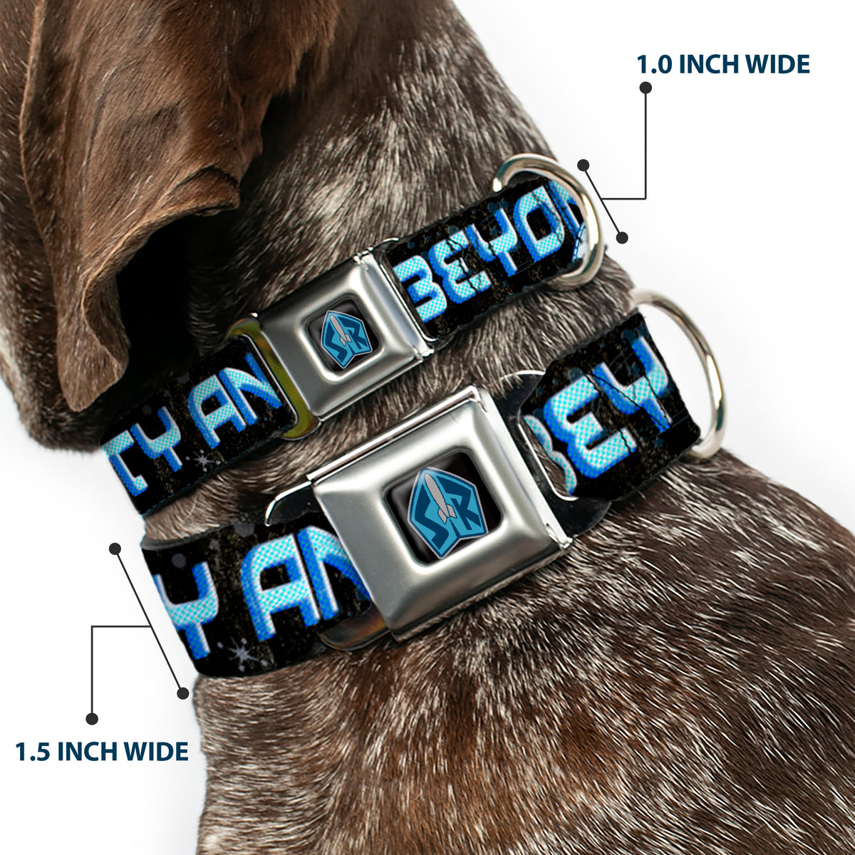 Space Ranger SR Logo Full Color Black/Blue Seatbelt Buckle Collar - Buzz Poses/Stars TO INFINITY AND BEYOND Black/Blues Dog Collars Seatbelt Buckle Disney