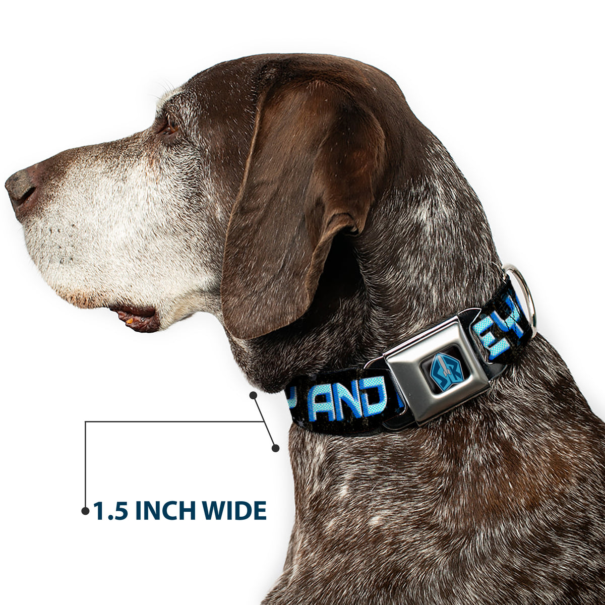 Space Ranger SR Logo Full Color Black/Blue Seatbelt Buckle Collar - Buzz Poses/Stars TO INFINITY AND BEYOND Black/Blues Dog Collars Seatbelt Buckle Disney