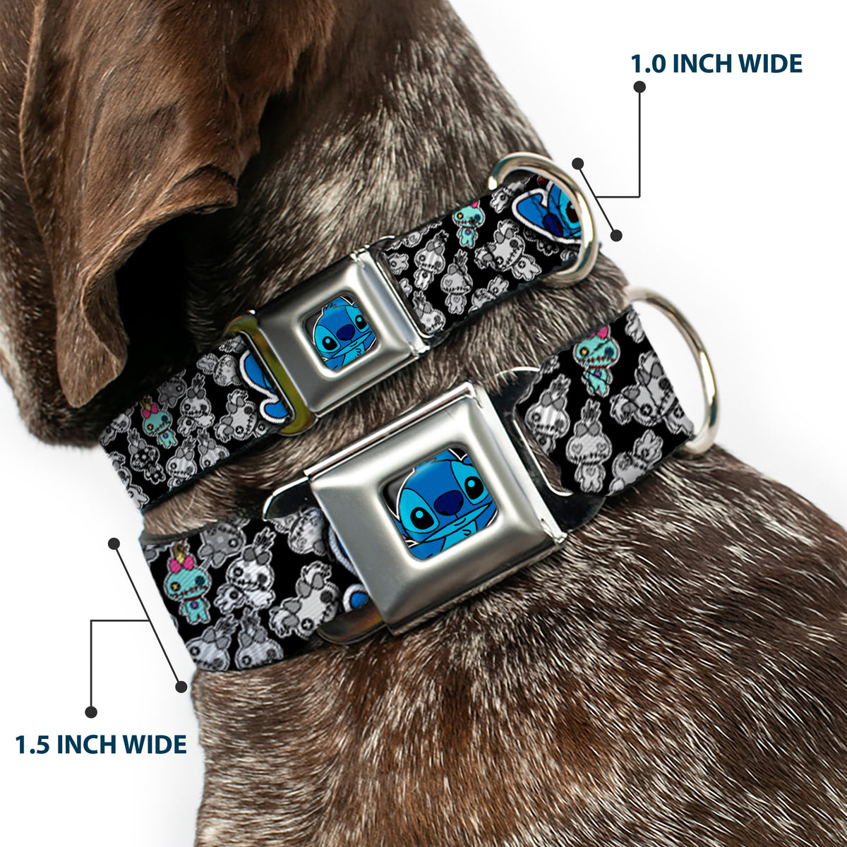 Stitch Face CLOSE-UP Full Color Seatbelt Buckle Collar - Stitch Poses/Mini Scrump Scattered Dog Collars Seatbelt Buckle Disney