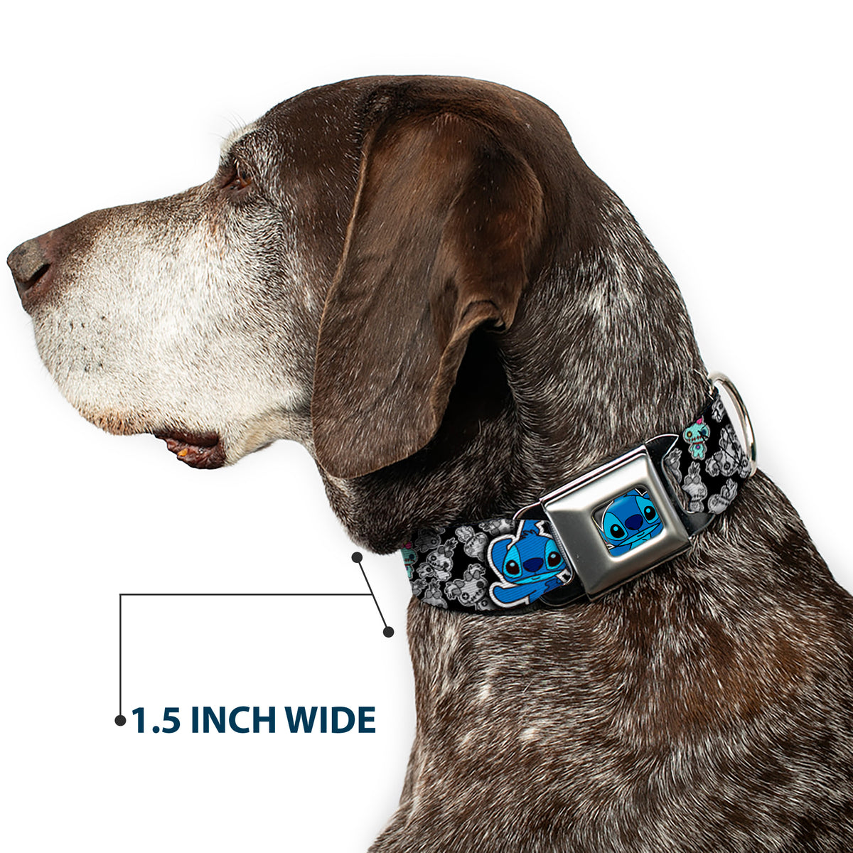 Stitch Face CLOSE-UP Full Color Seatbelt Buckle Collar - Stitch Poses/Mini Scrump Scattered Dog Collars Seatbelt Buckle Disney