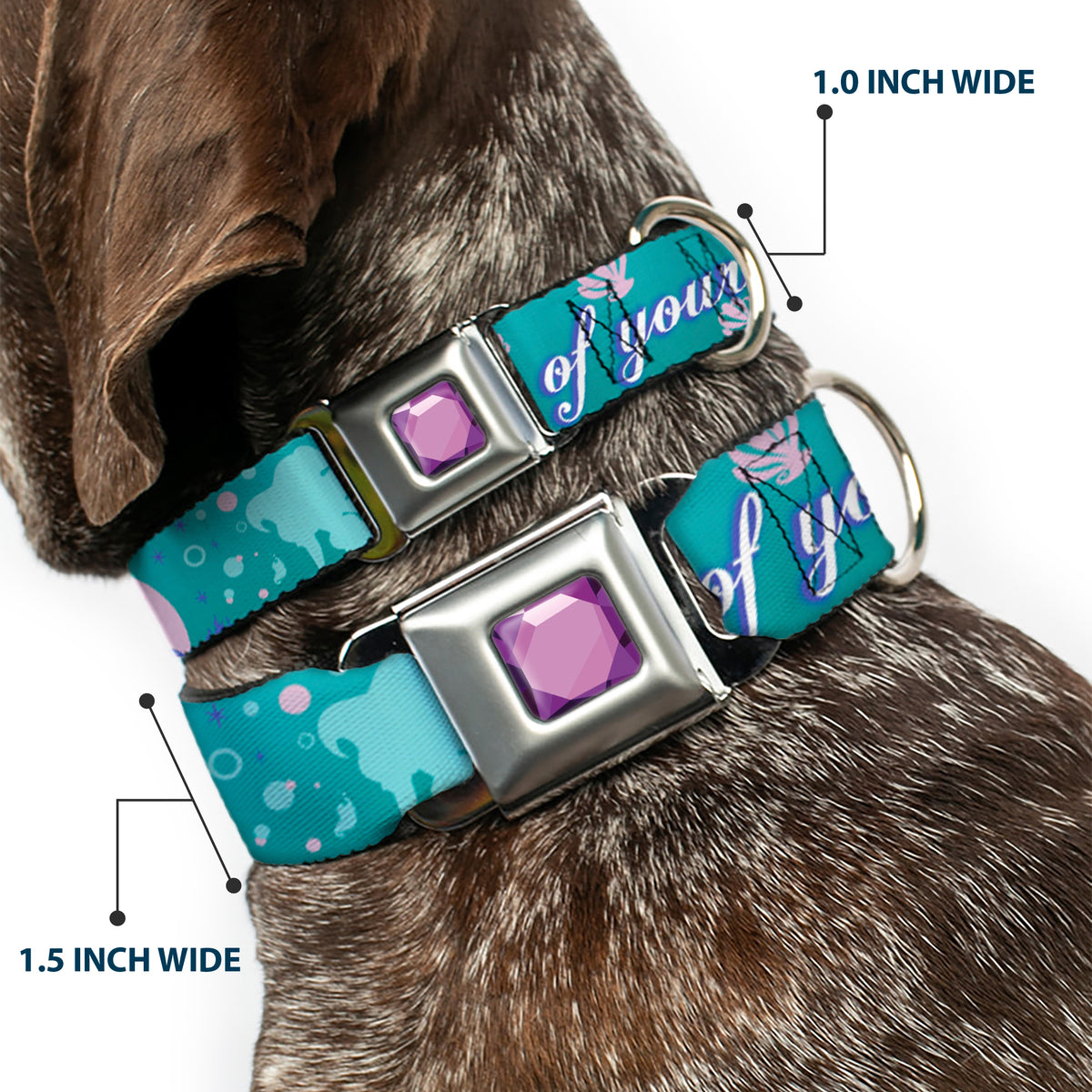 Princess Gem CLOSE-UP Full Color Purple Seatbelt Buckle Collar - Little Mermaid Silhouette Scenes PART OF YOUR WORLD Blues Dog Collars Seatbelt Buckle Disney