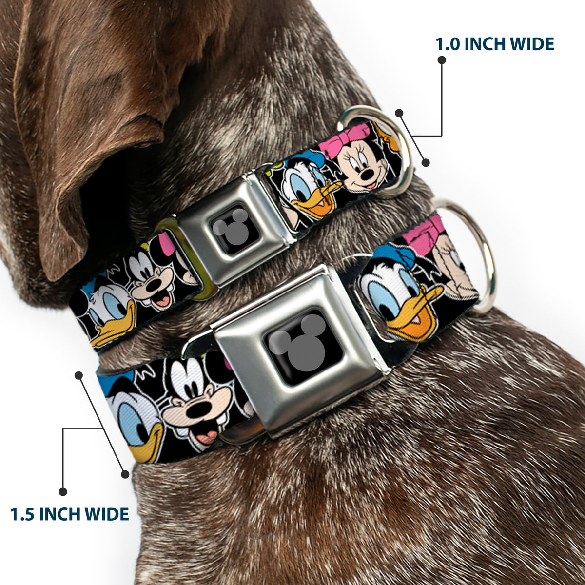 Mickey Silhouette Black Silver Seatbelt Buckle Collar - Classic Disney Character Faces Black Dog Collars Seatbelt Buckle Disney