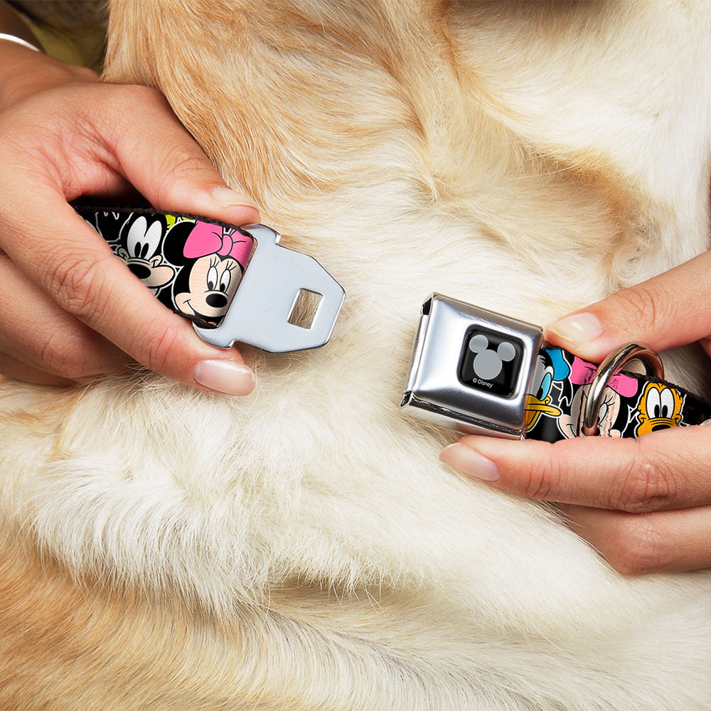 Mickey Silhouette Black Silver Seatbelt Buckle Collar - Classic Disney Character Faces Black Dog Collars Seatbelt Buckle Disney
