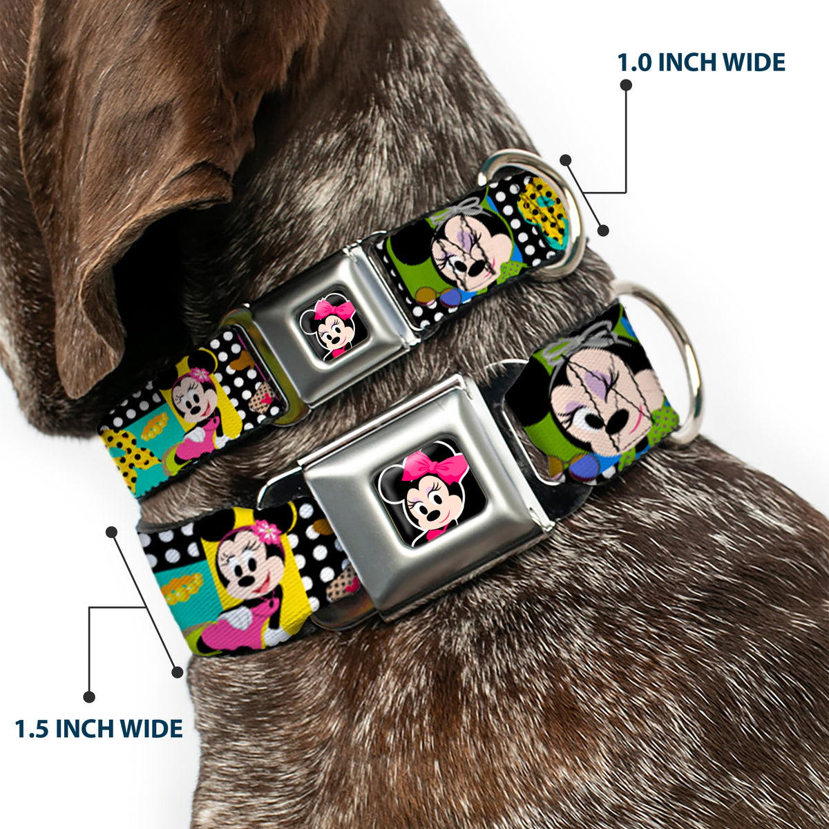 Mini Minnie Mouse Face CLOSE-UP Full Color Black Seatbelt Buckle Collar - Mini Minnie Fashion Poses/Polka Dot Black/White/Multi Color Dog Collars Seatbelt Buckle Disney