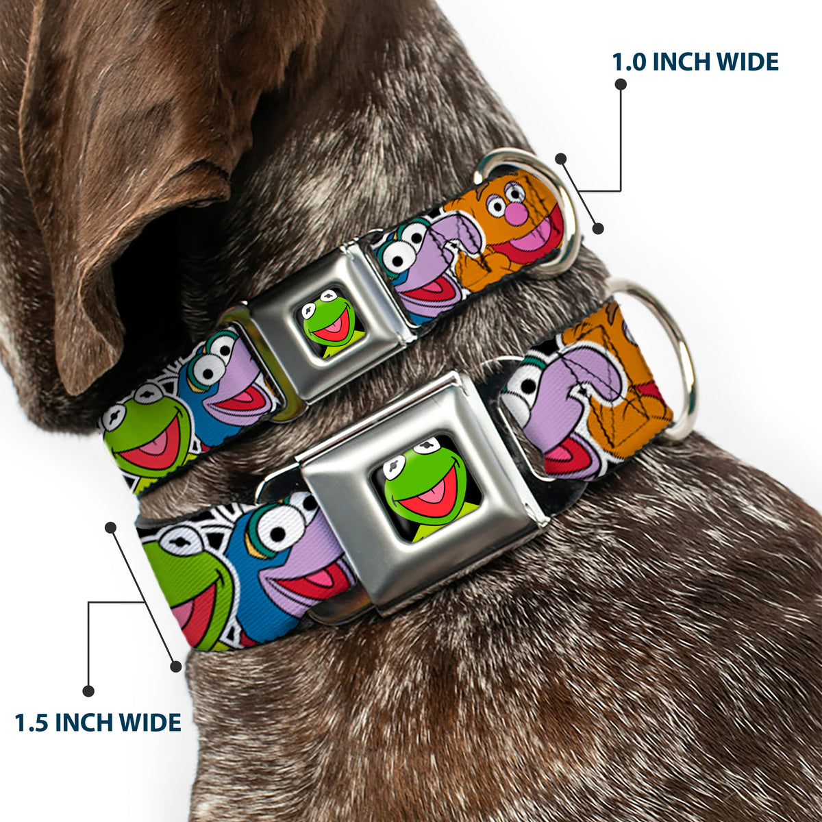 Kermit Face Full Color Black Seatbelt Buckle Collar - Muppets Faces CLOSE-UP Black Dog Collars Seatbelt Buckle Disney