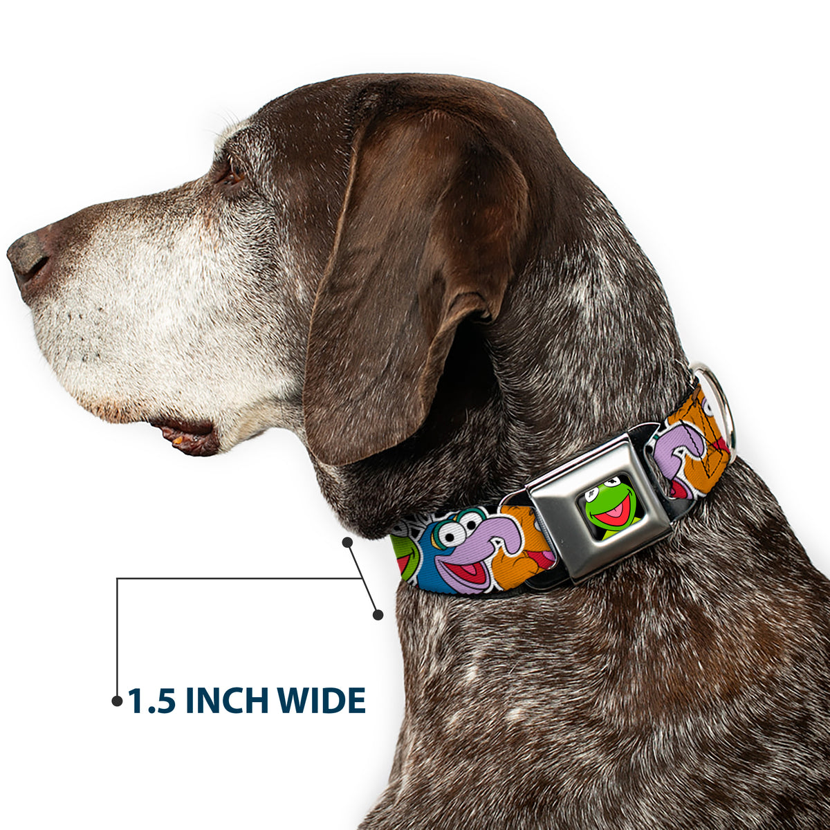Kermit Face Full Color Black Seatbelt Buckle Collar - Muppets Faces CLOSE-UP Black Dog Collars Seatbelt Buckle Disney