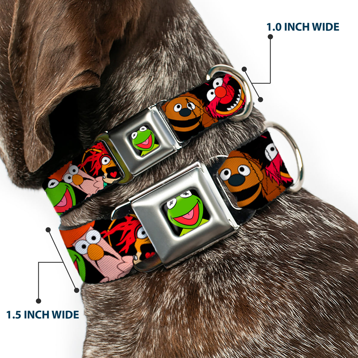 Kermit Face Full Color Black Seatbelt Buckle Collar - Muppets Faces Black Dog Collars Seatbelt Buckle Disney