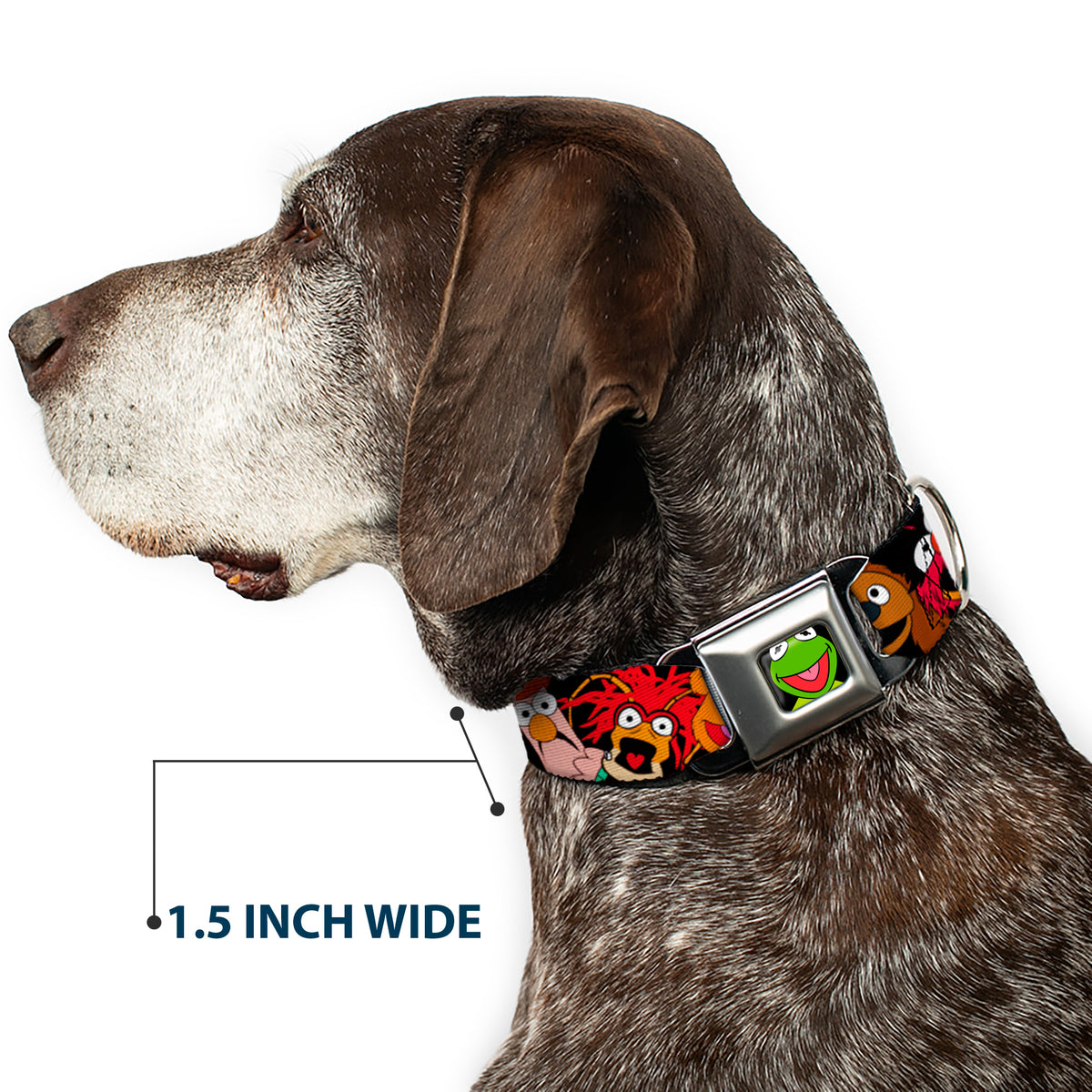 Kermit Face Full Color Black Seatbelt Buckle Collar - Muppets Faces Black Dog Collars Seatbelt Buckle Disney