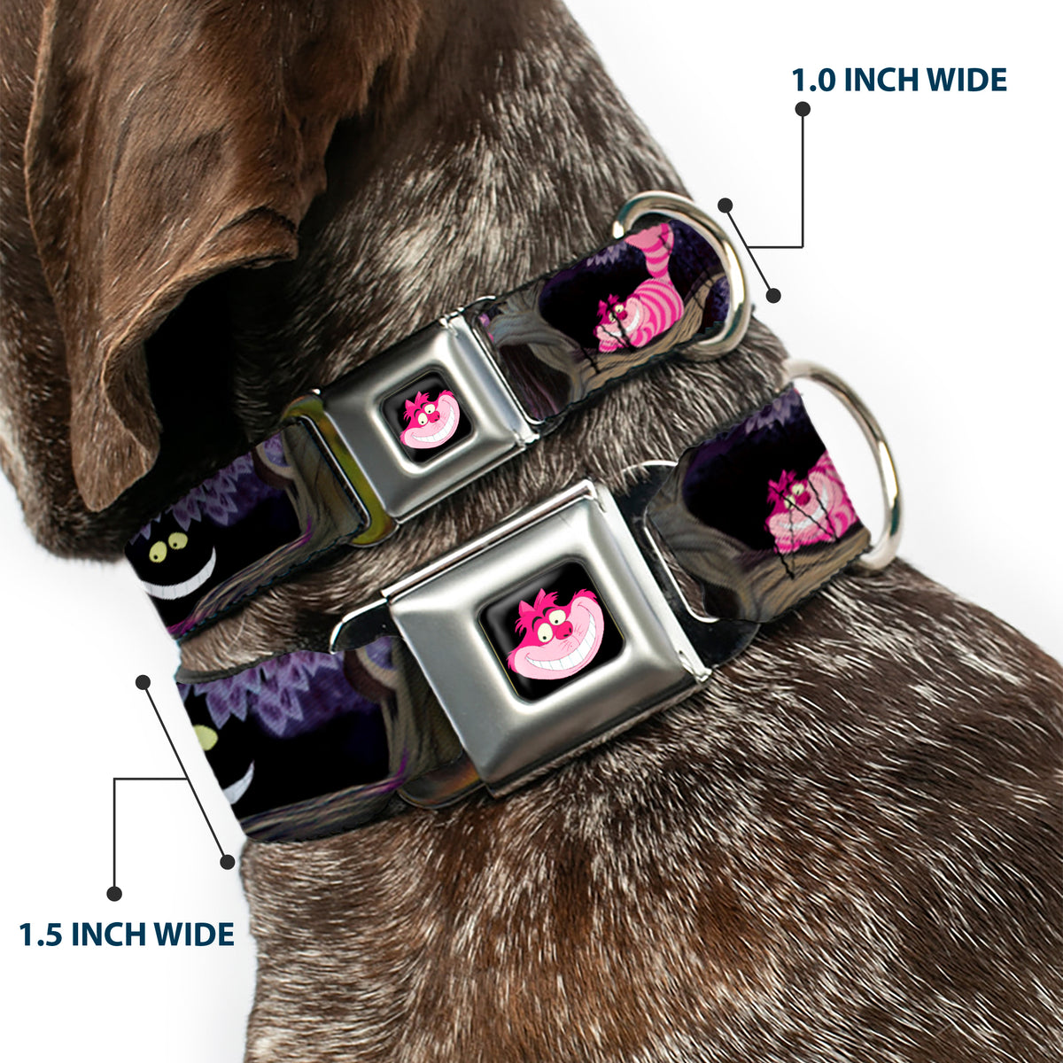 Cheshire Cat Face Full Color Black Seatbelt Buckle Collar - Alice & the Cheshire Cat Scenes Dog Collars Seatbelt Buckle Disney