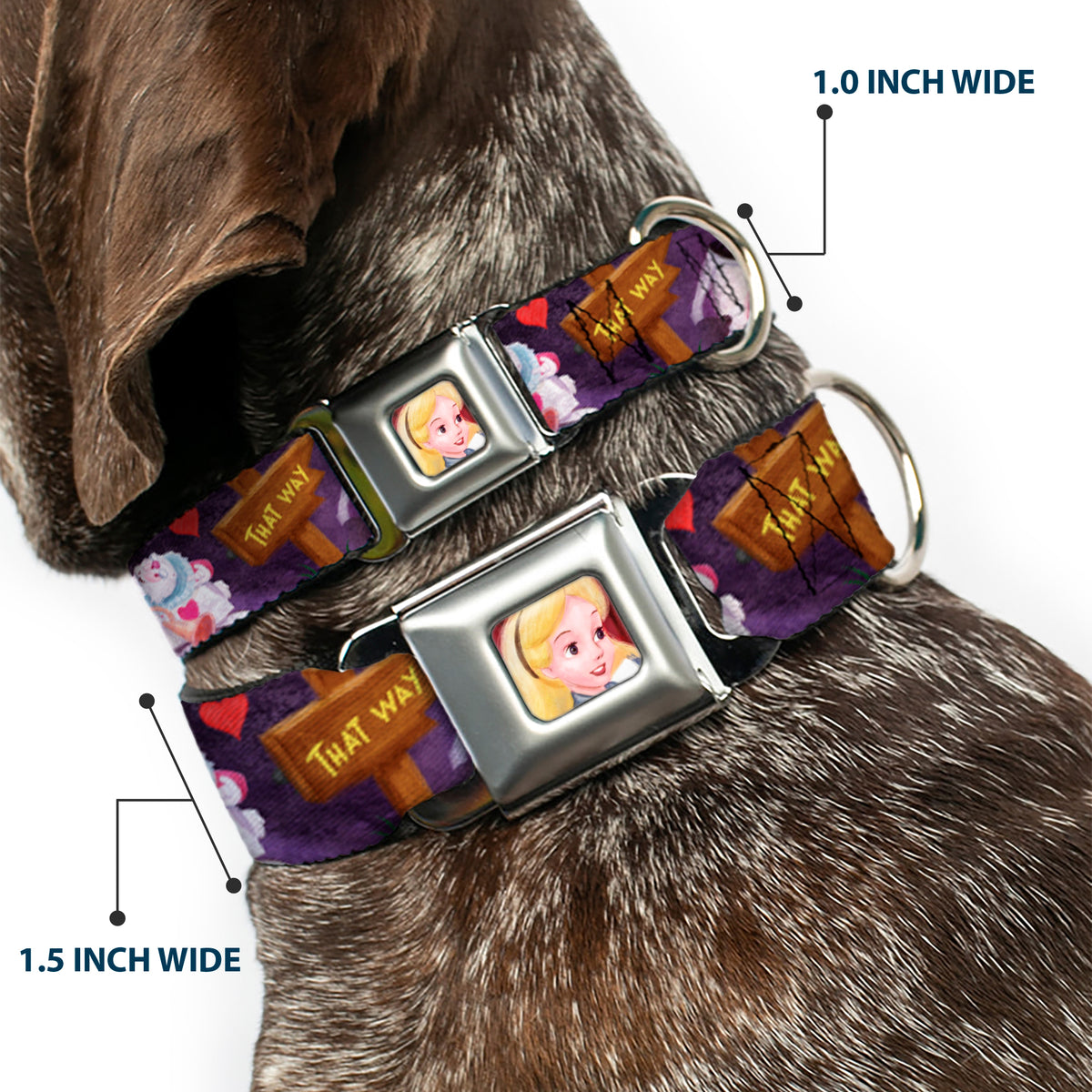 Alice Face Full Color Red Seatbelt Buckle Collar - Alice & the Queen of Hearts Scenes Dog Collars Seatbelt Buckle Disney