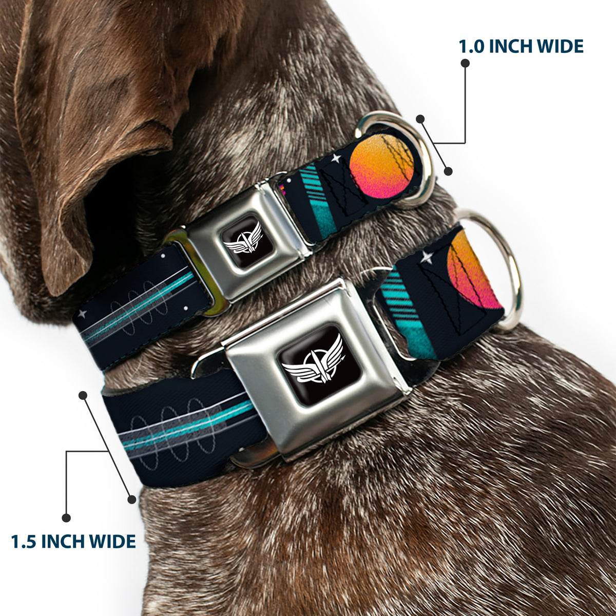Lightyear Star Command Wings Logo Full Color Black/White Seatbelt Buckle Collar - BUZZ LIGHTYEAR Hyper Speed Spaceship Black/Multi Color Dog Collars Seatbelt Buckle Disney